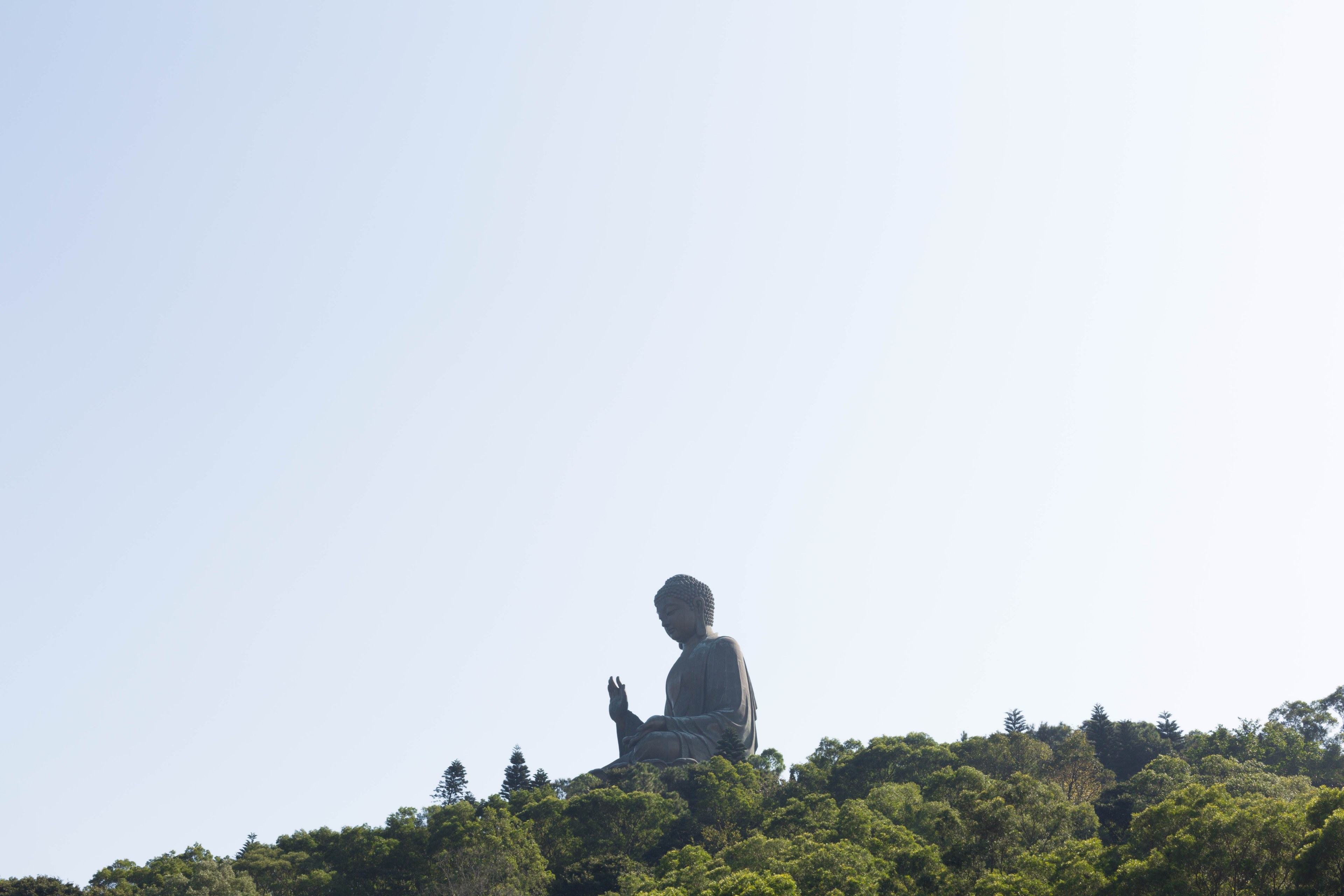 asium sculpture tree and hong kong 4k, HD Wallpaper