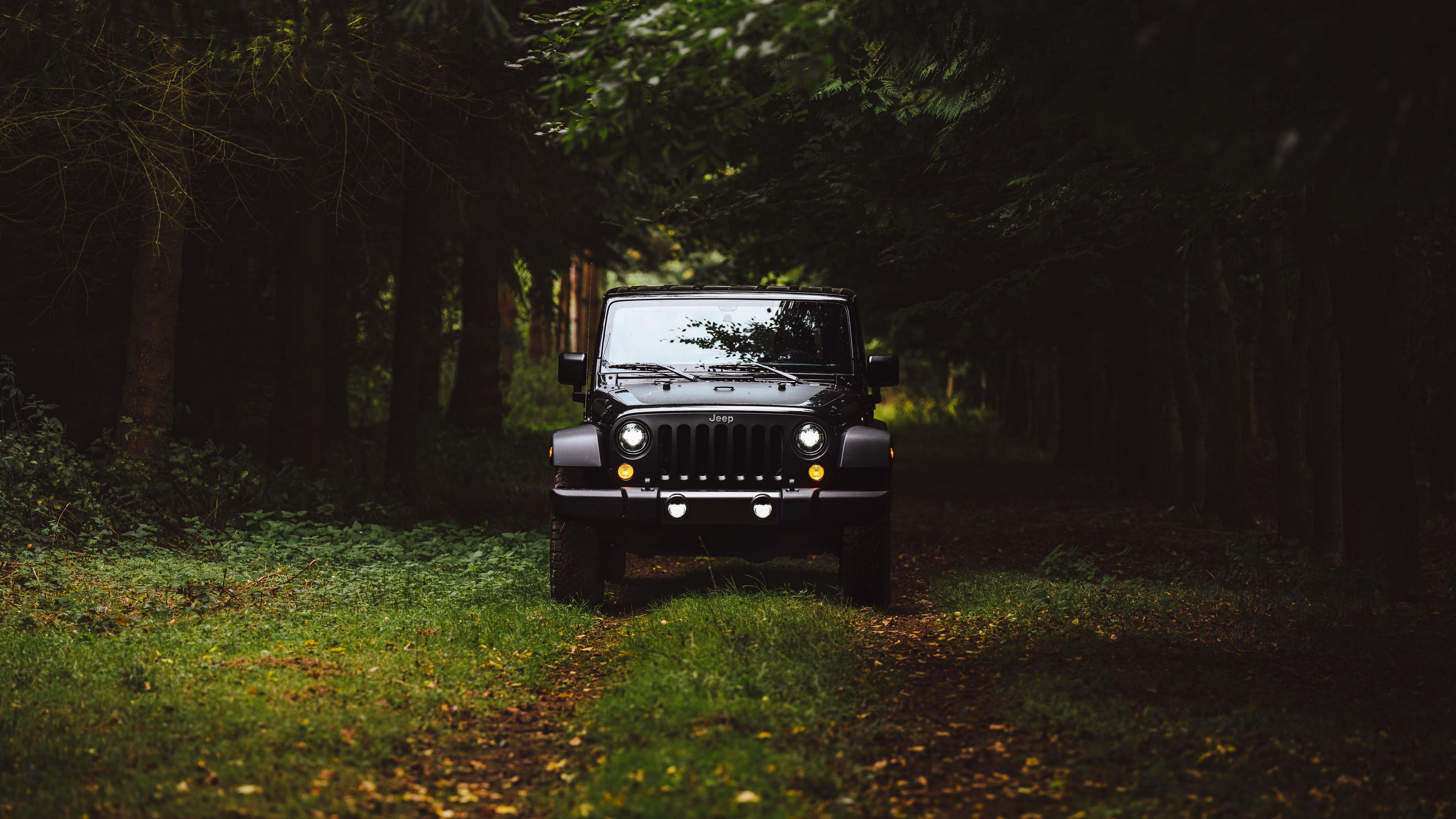 car, suv, front view, grass, 4k, HD Wallpaper