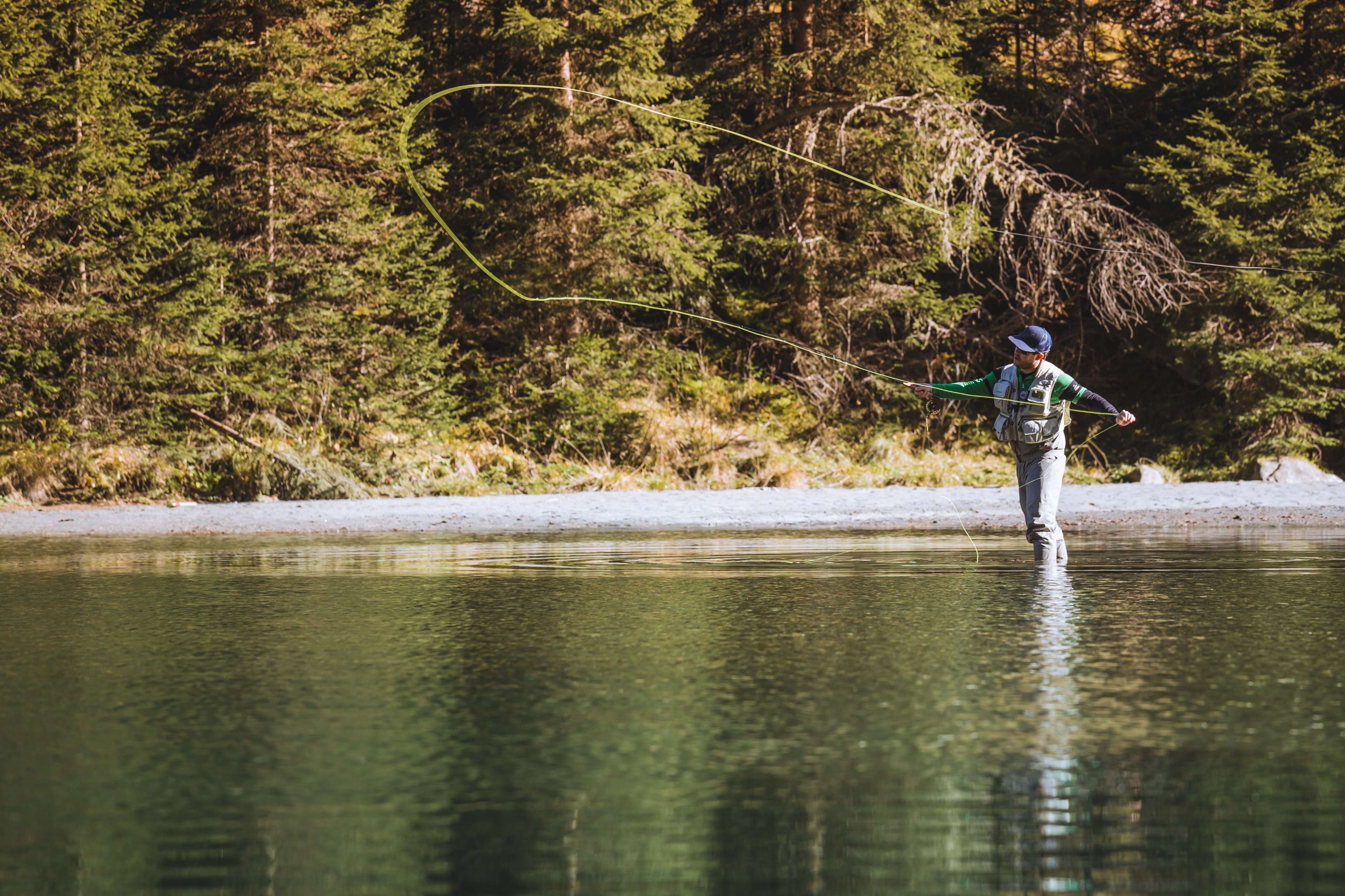 salmon autumn austrium and fly 4k, HD Wallpaper