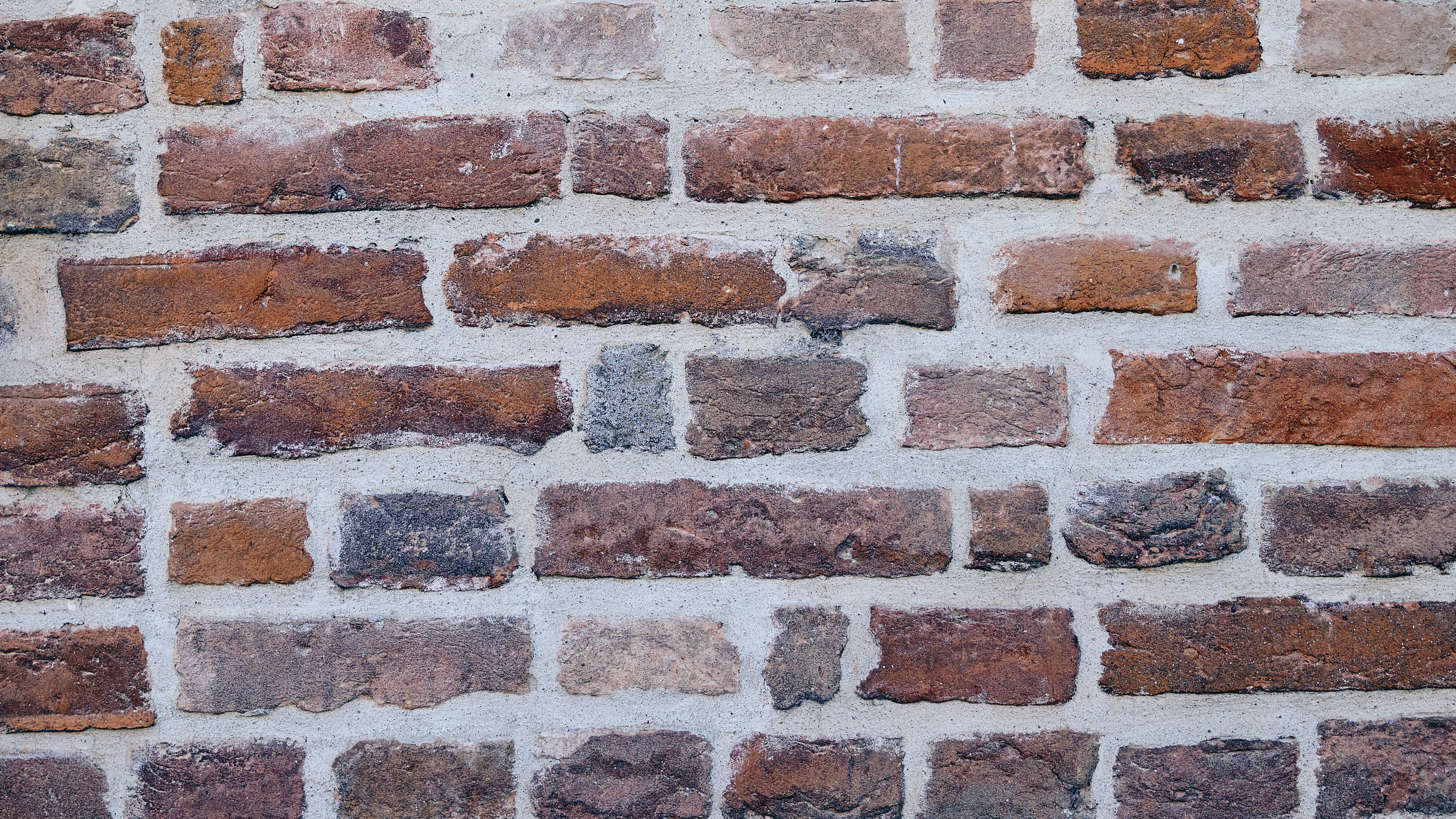 texture, wall, brick, 4k, HD Wallpaper