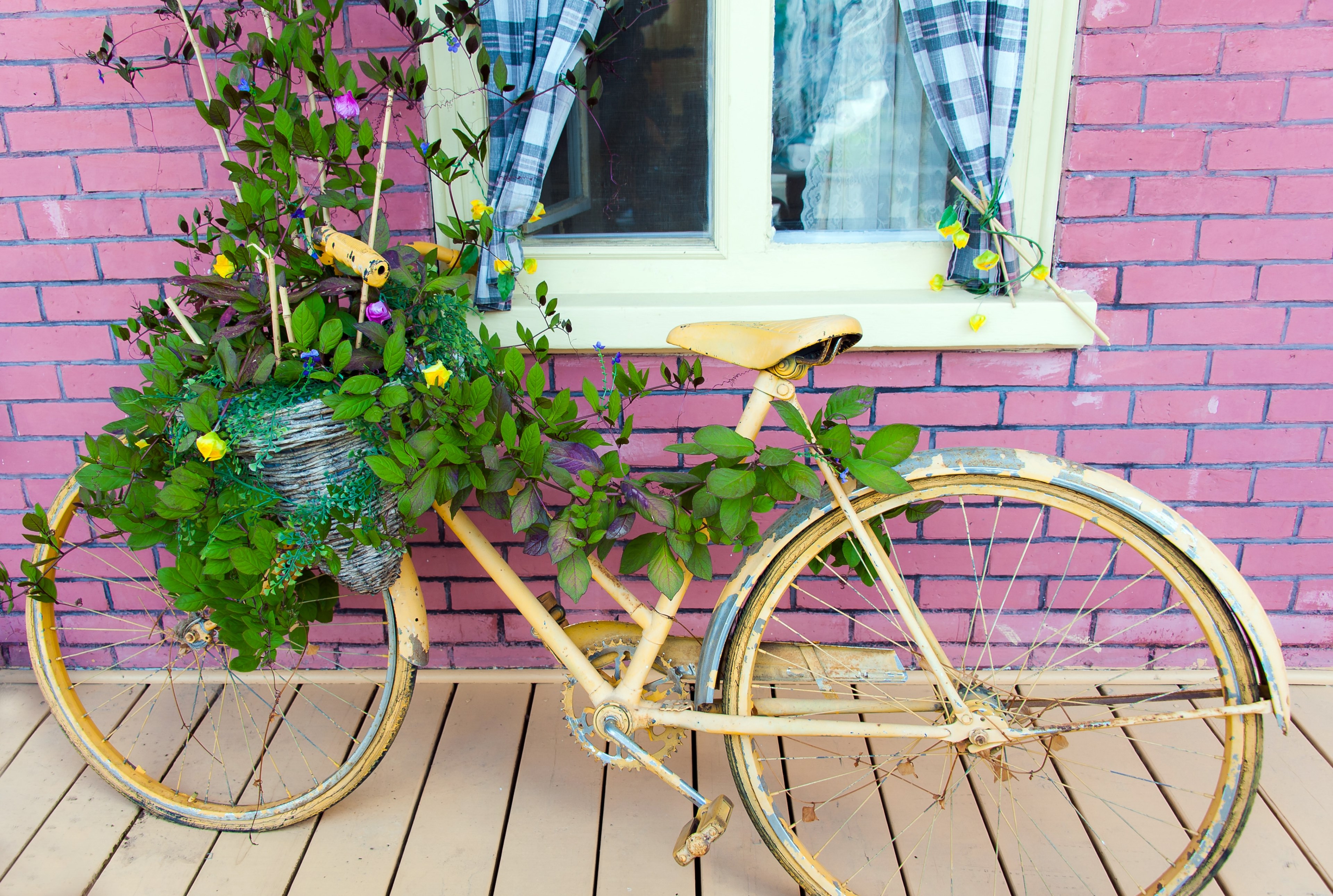 yellow bicycle with cracked paint aside a pink brick wall its basket used as a planter, yellow bicycle planter 4k, HD Wallpaper