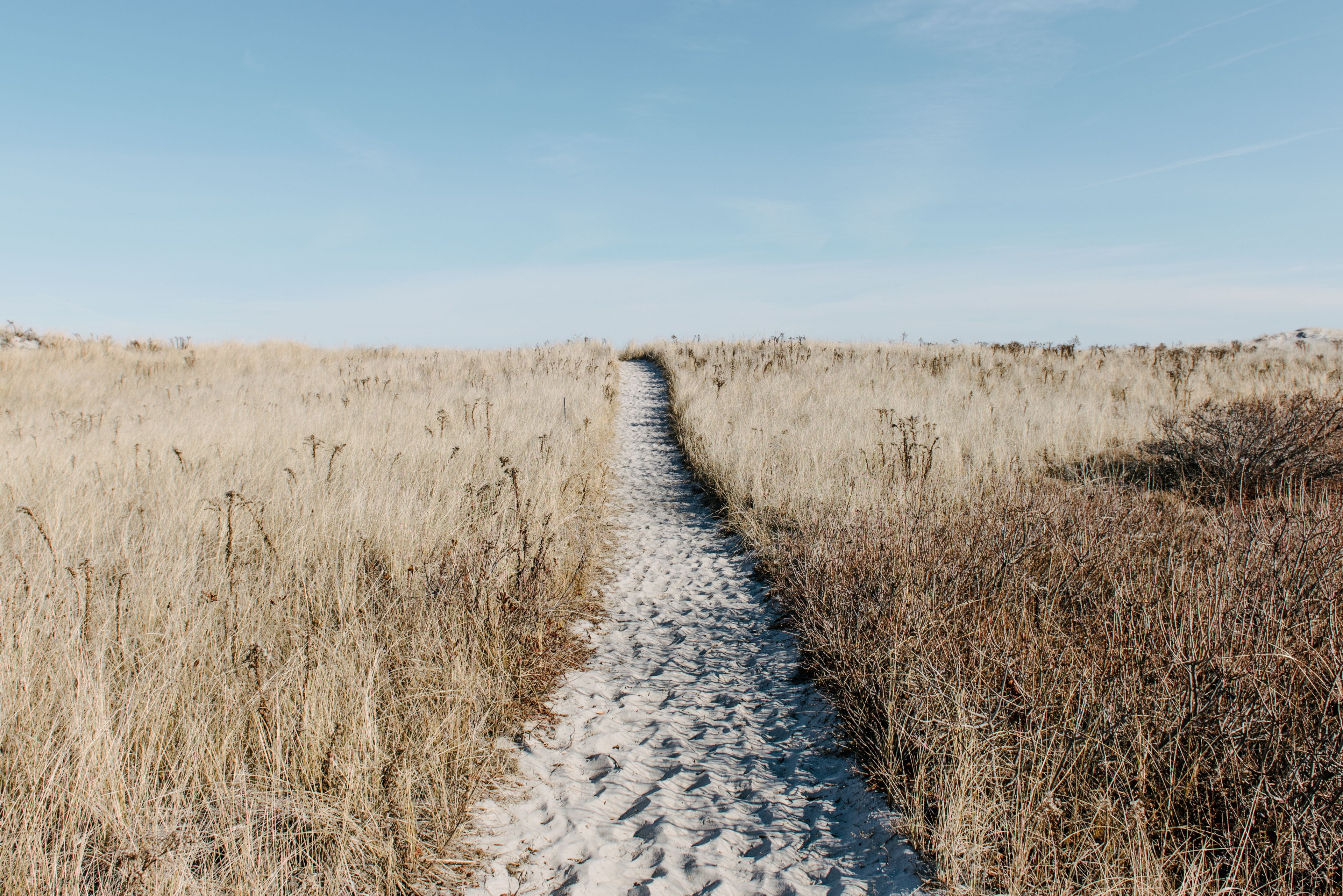 sand path with footprints through the grass field at crane beach, sand path through grass field 4k, HD Wallpaper