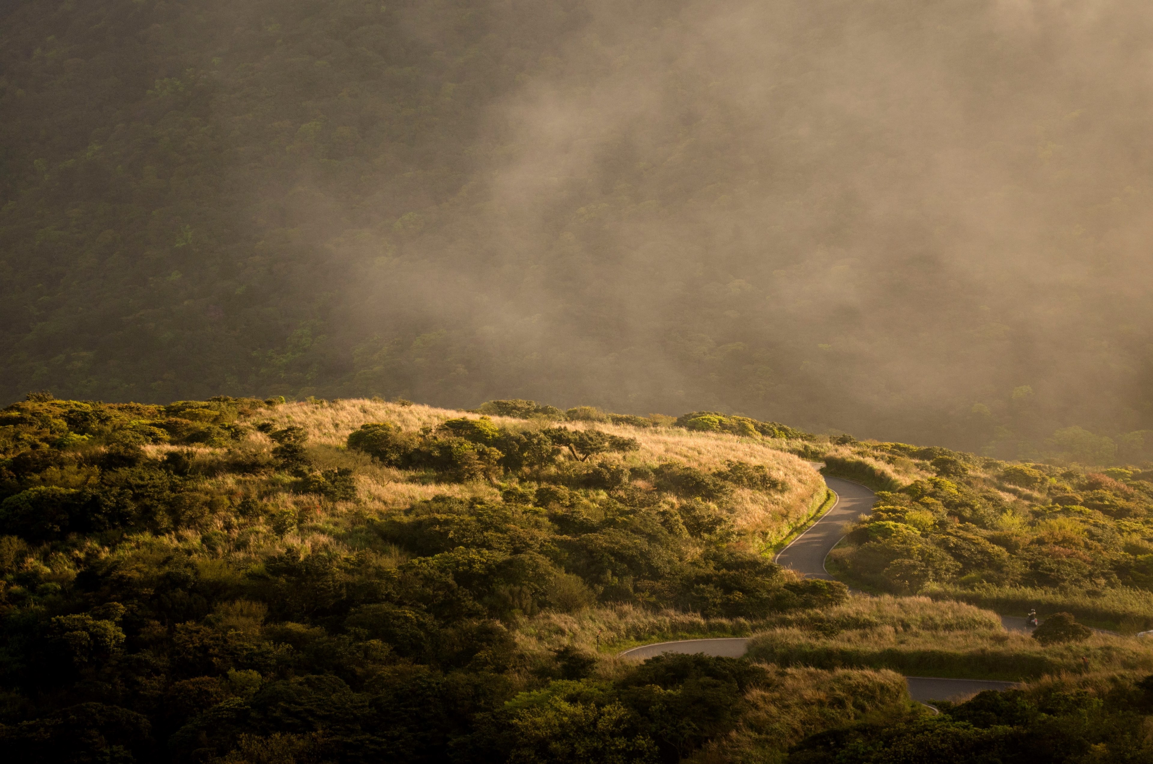 hillside view of a zigzagging road down a slope, winding road down the slope 4k, HD Wallpaper