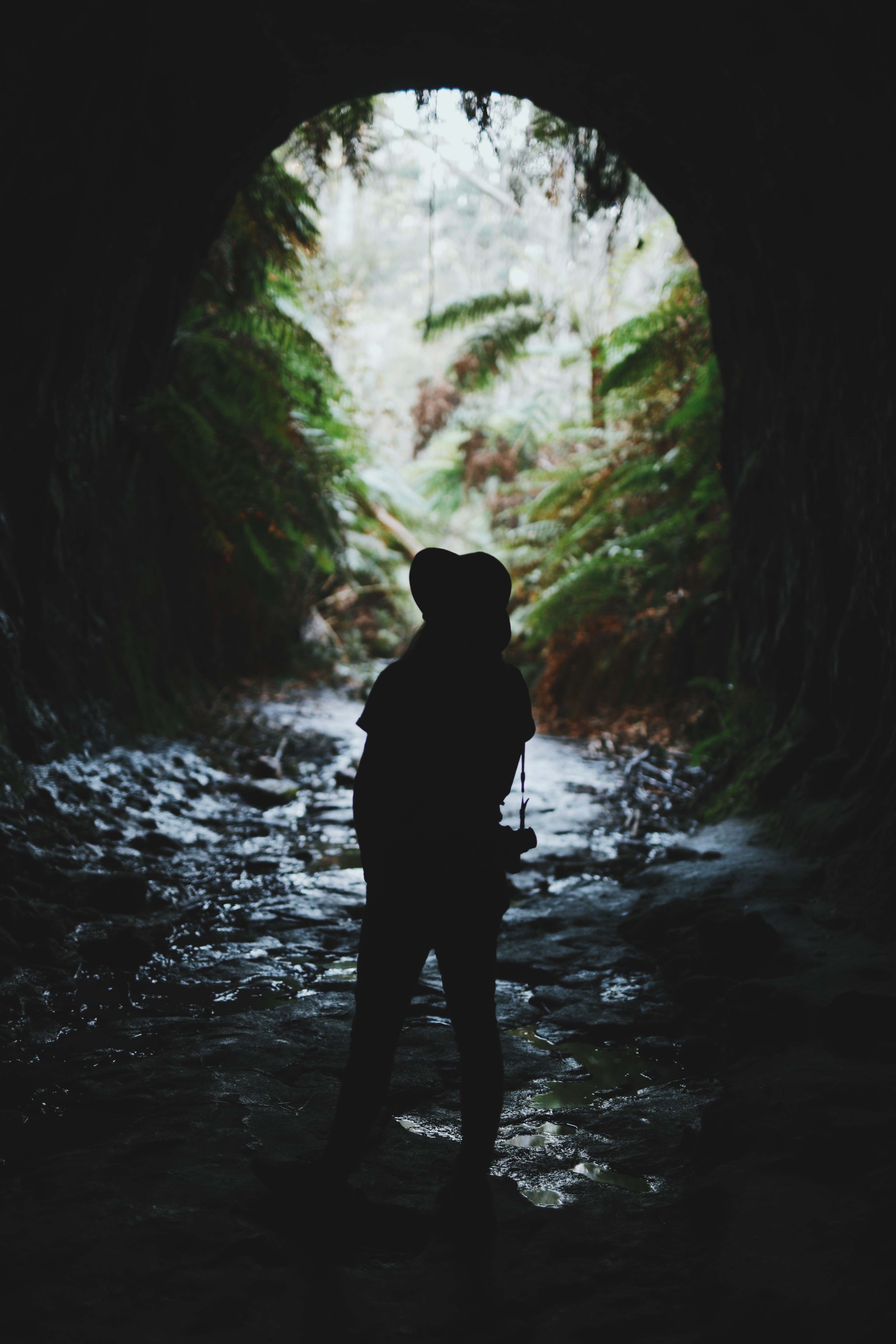 the silhouete of a person standing on gravel near the entrance of glow worm cave, i laugh in the face of danger 4k, Phone HD Wallpaper