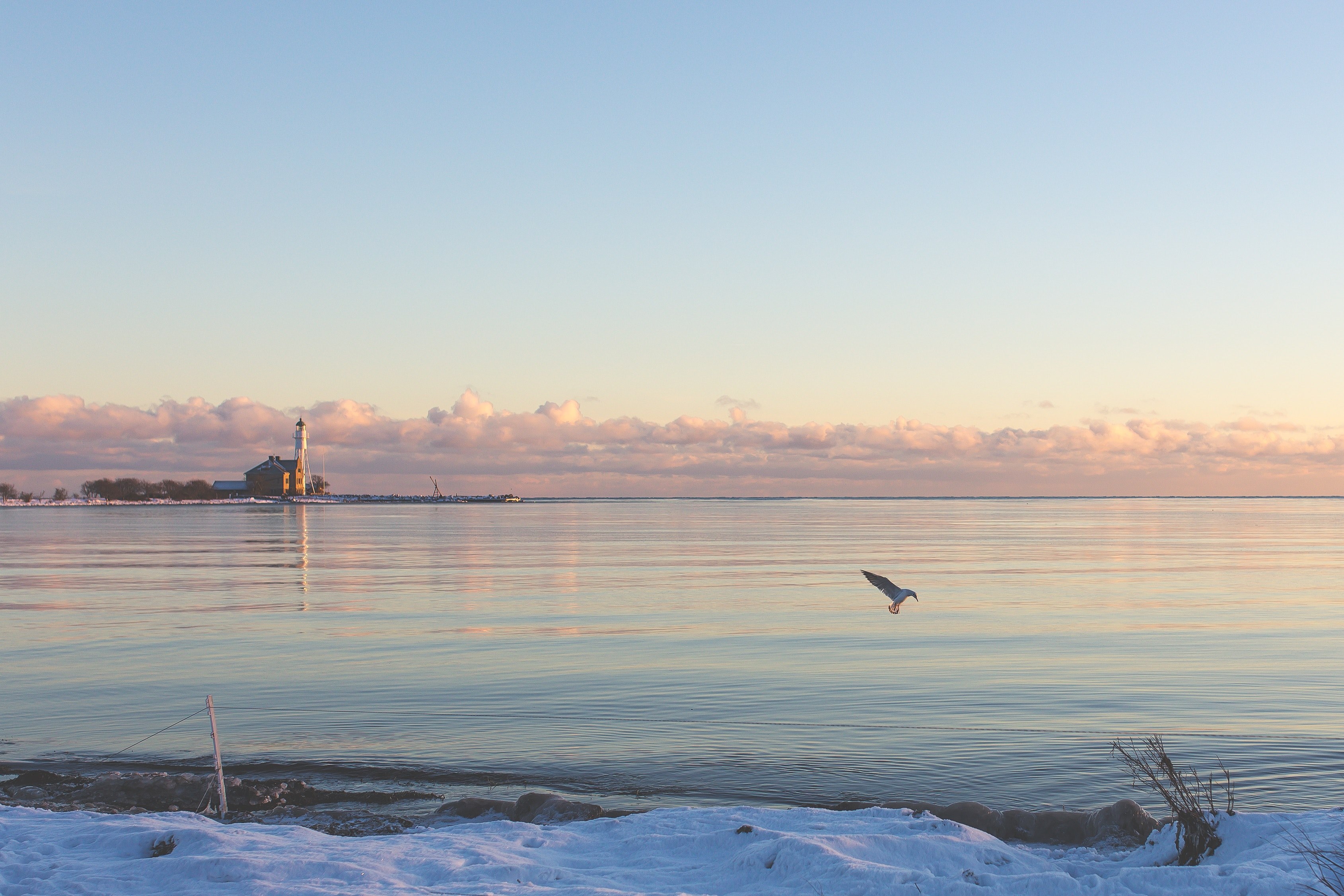 a bird in flight above a beach covered with a thick layer of snow, seashore on a winters day 4k, HD Wallpaper