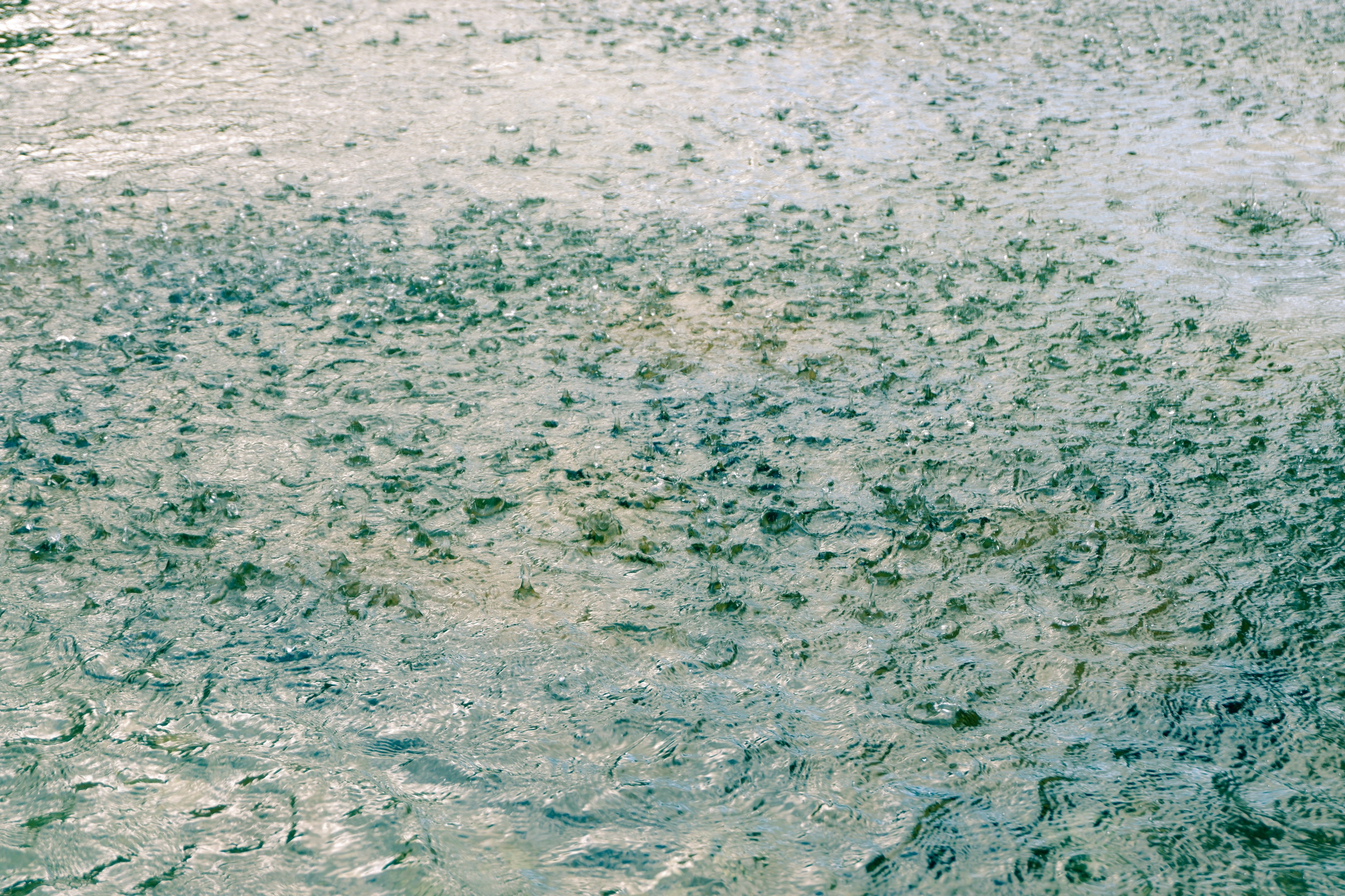 water rain raindrop and surface 4k, HD Wallpaper