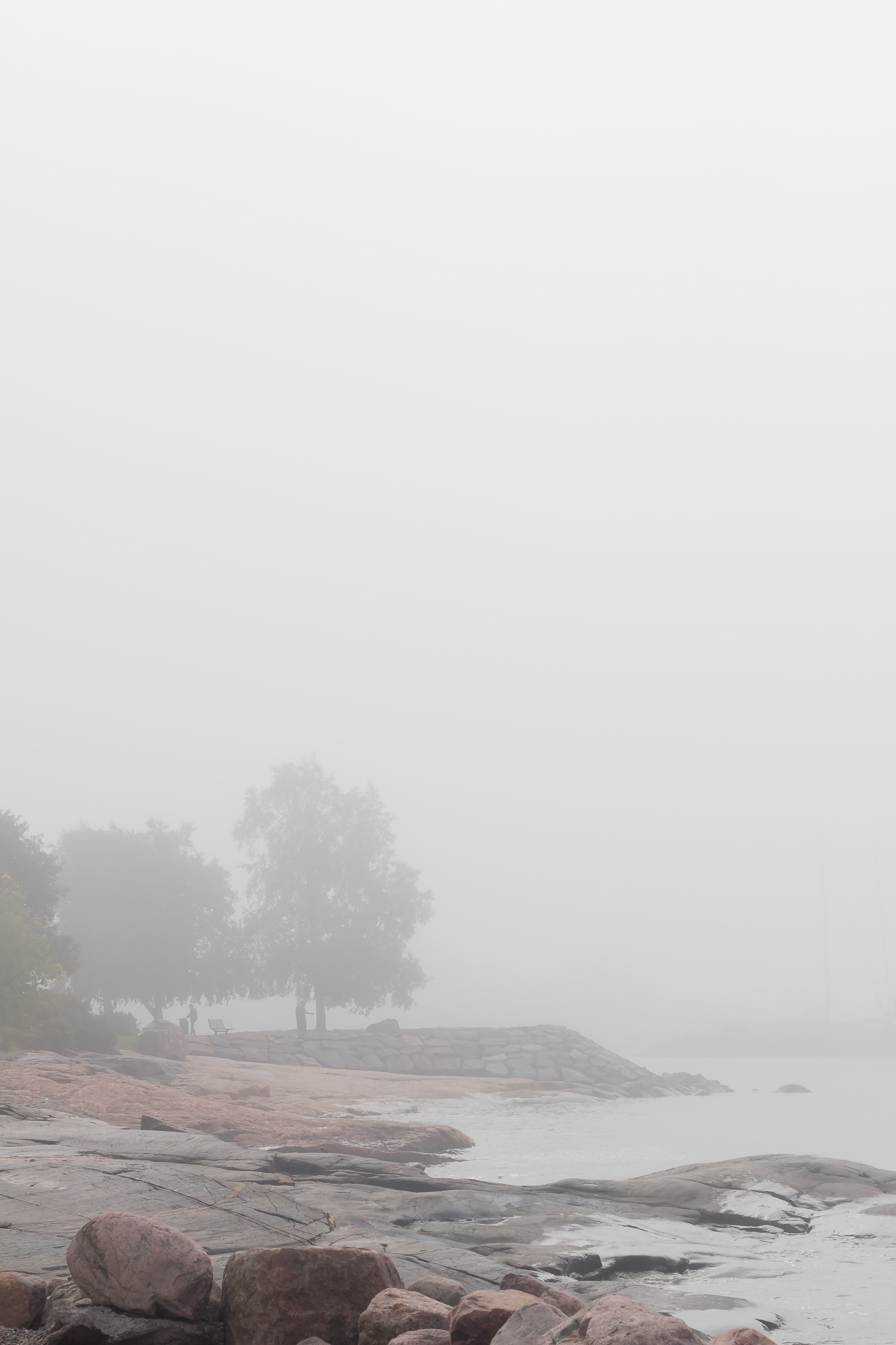 morning fog helsinki 2 4k, Phone HD Wallpaper