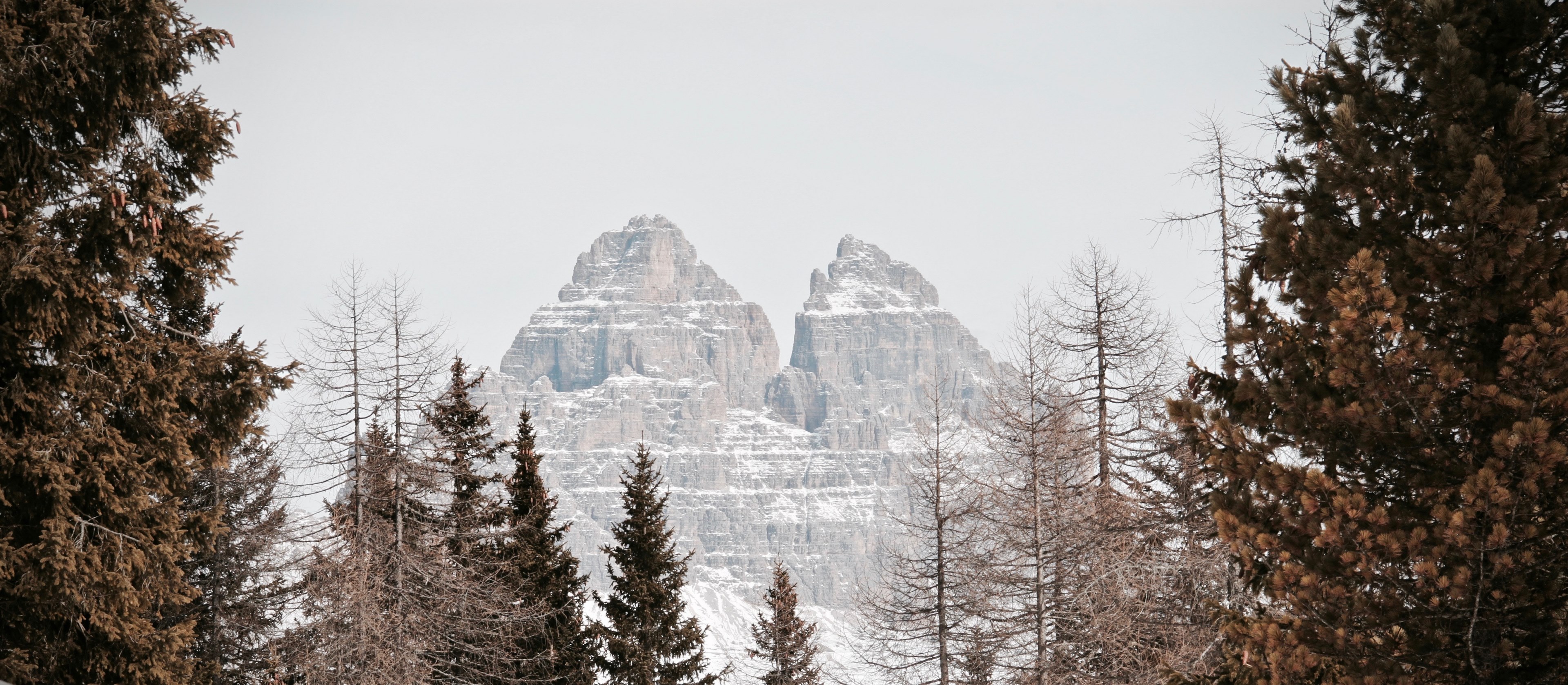 a wintry landscape with evergreen trees and two sharp mountain peaks near lake misurina, tre cime di lavaredo view from misurina 4k, HD Wallpaper