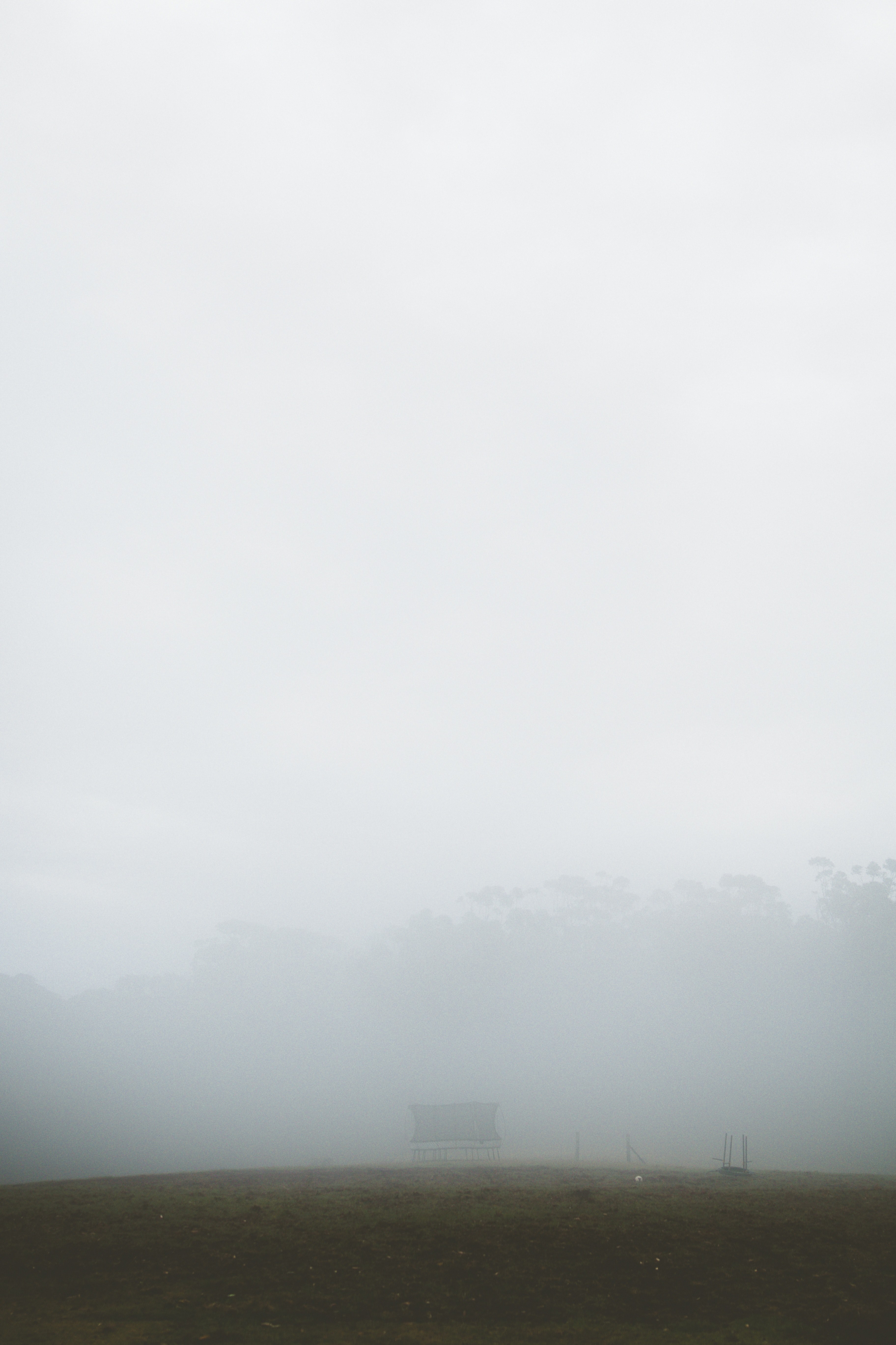 lost in the wilderness 4k, Phone HD Wallpaper
