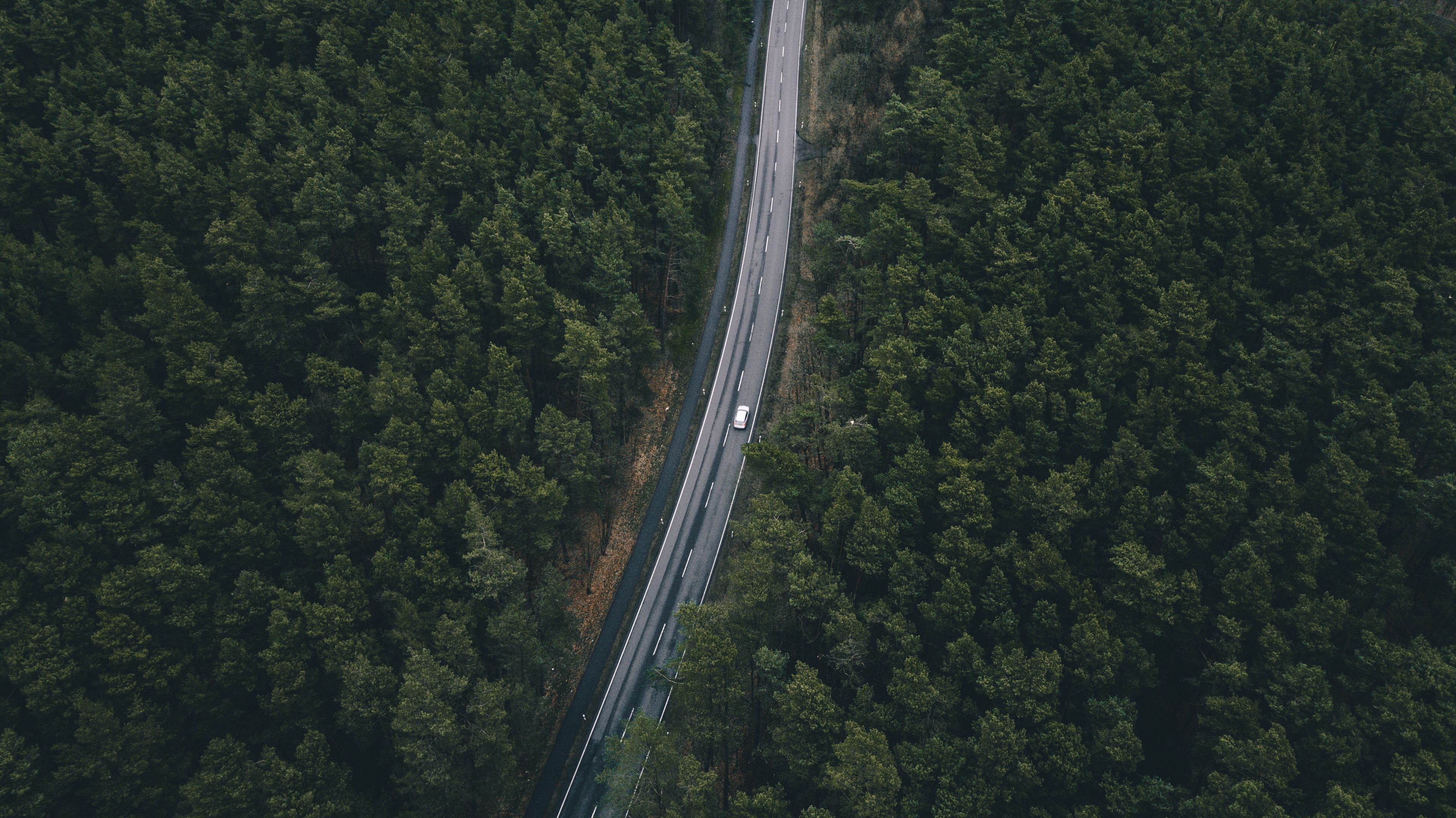 road, trees, top view, 4k, HD Wallpaper