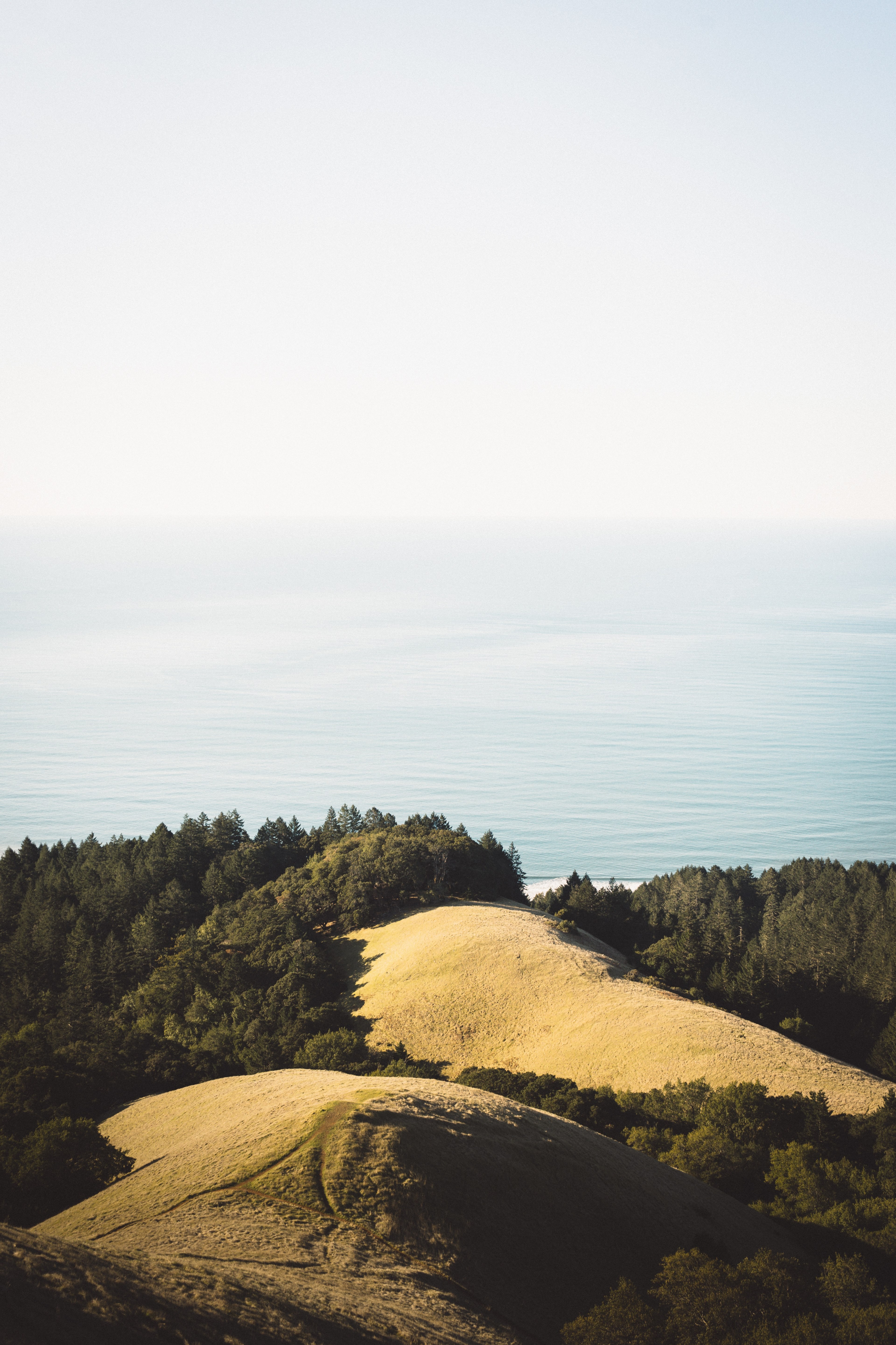 wooded hills near the sea on a bright day, light 4k, Phone HD Wallpaper