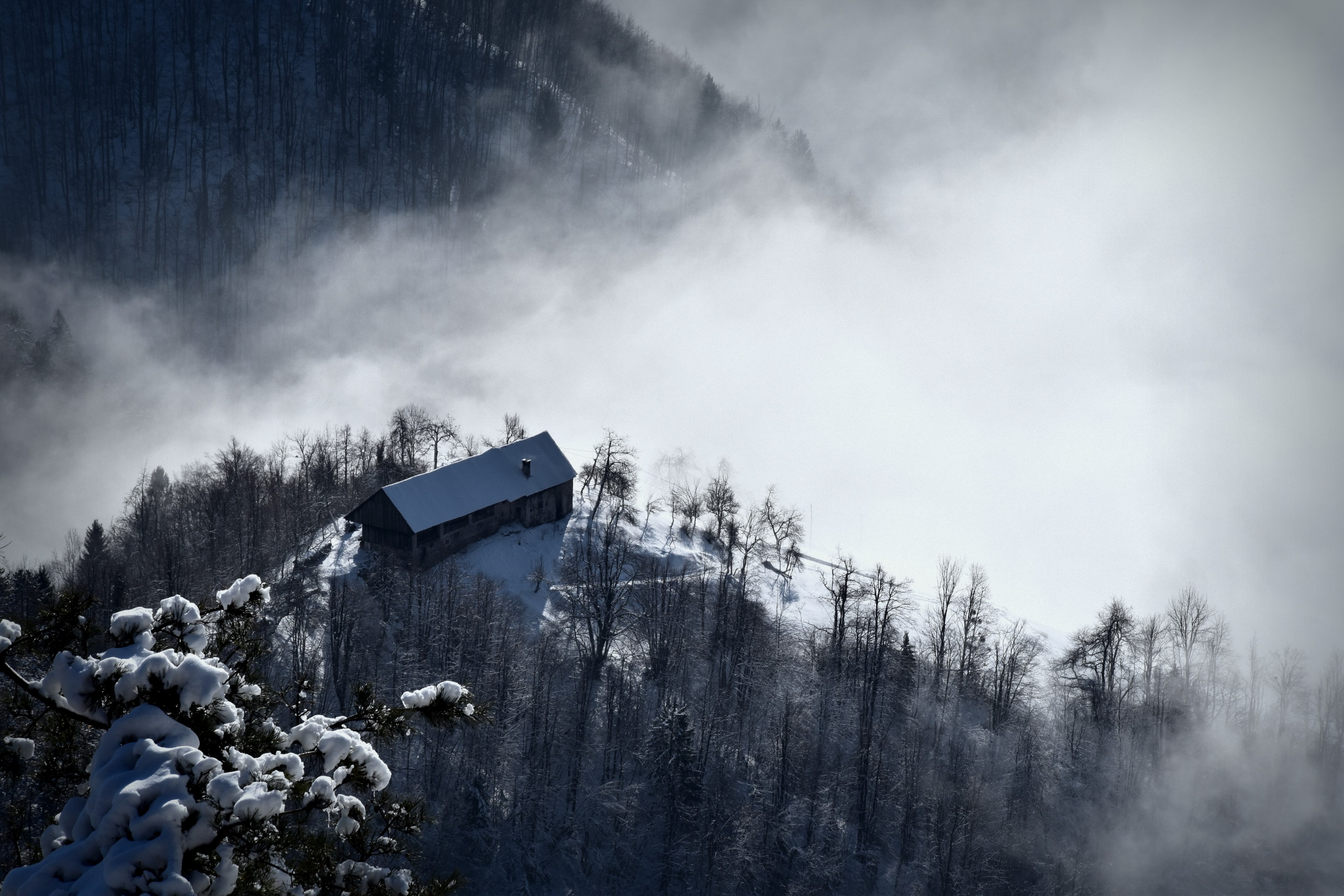 a foggy cloudy sky casted above a forest with a building on top of the hill, building in mountain forest 4k, HD Wallpaper