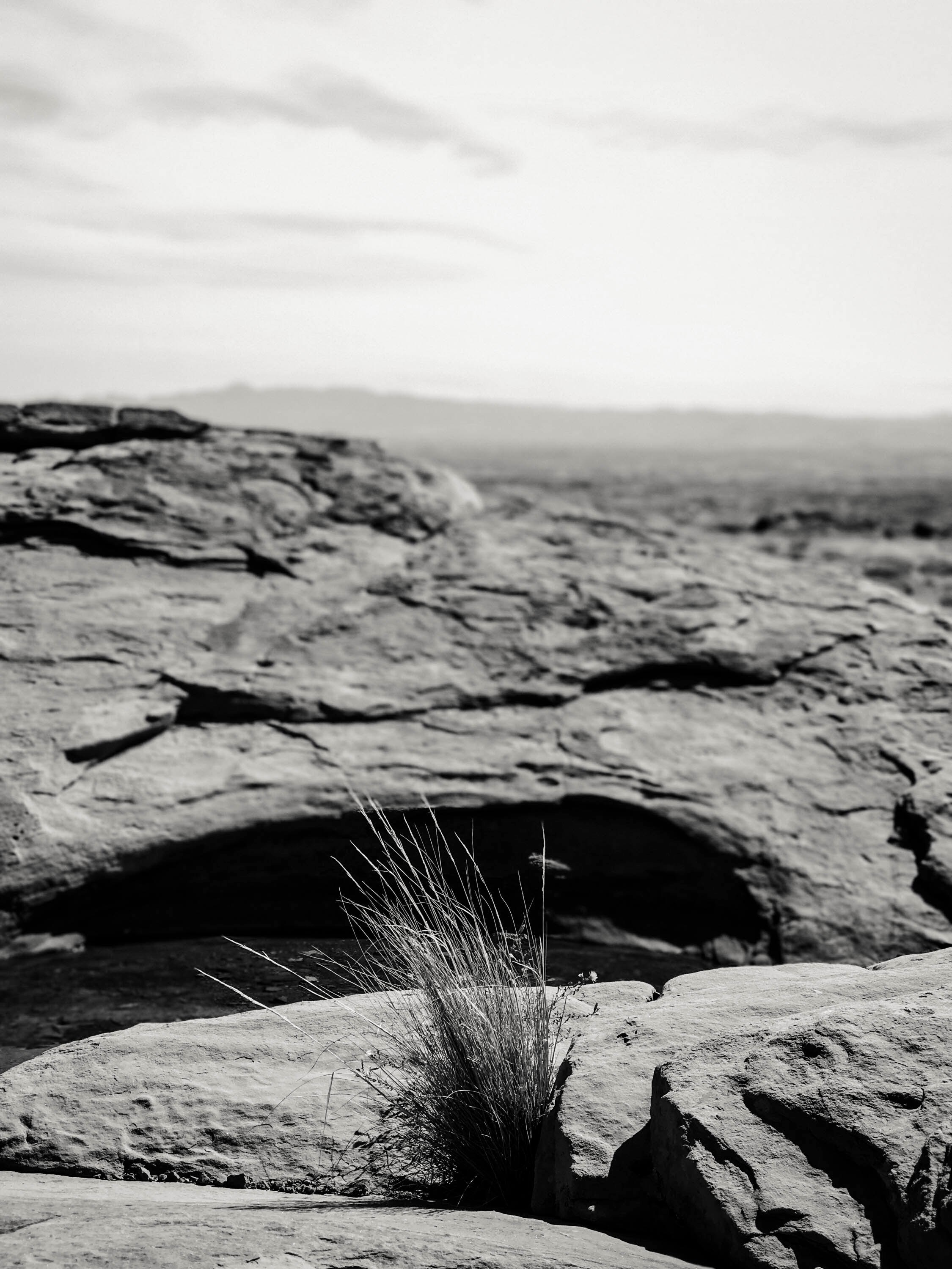 wild west 4k, Phone HD Wallpaper