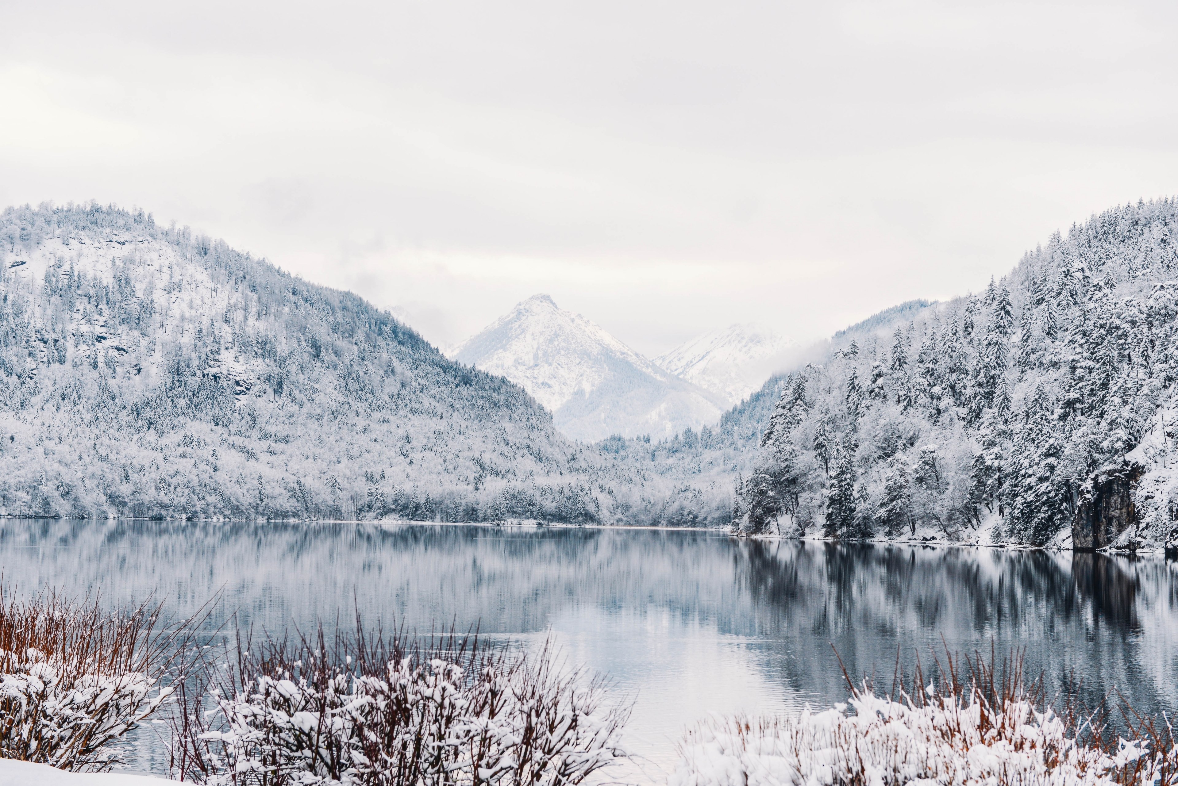 europe germany tree and mountain 4k, HD Wallpaper