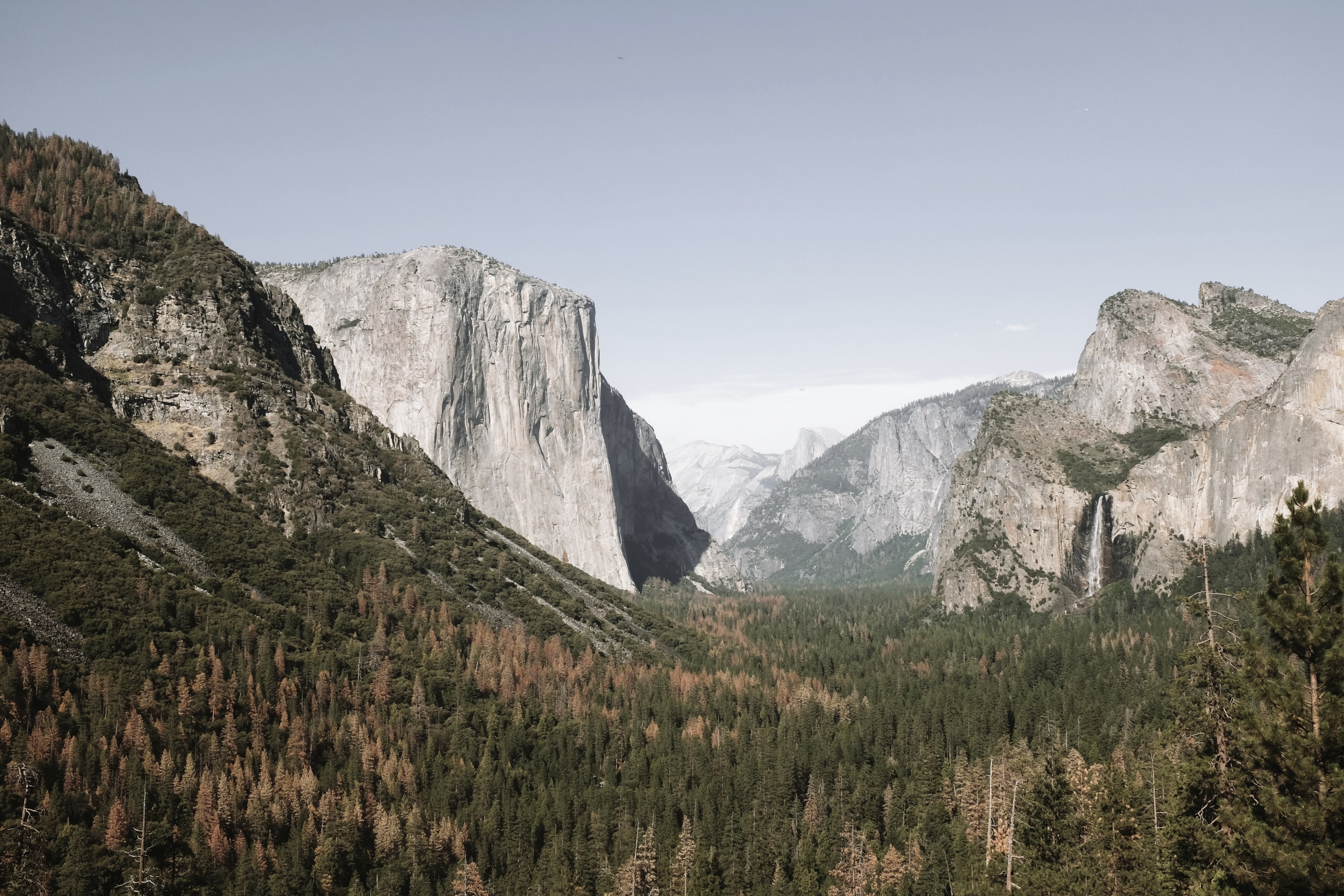 green and brown trees on the bottom of yosemite valley in the morning, yosemite valley in summer 4k, HD Wallpaper
