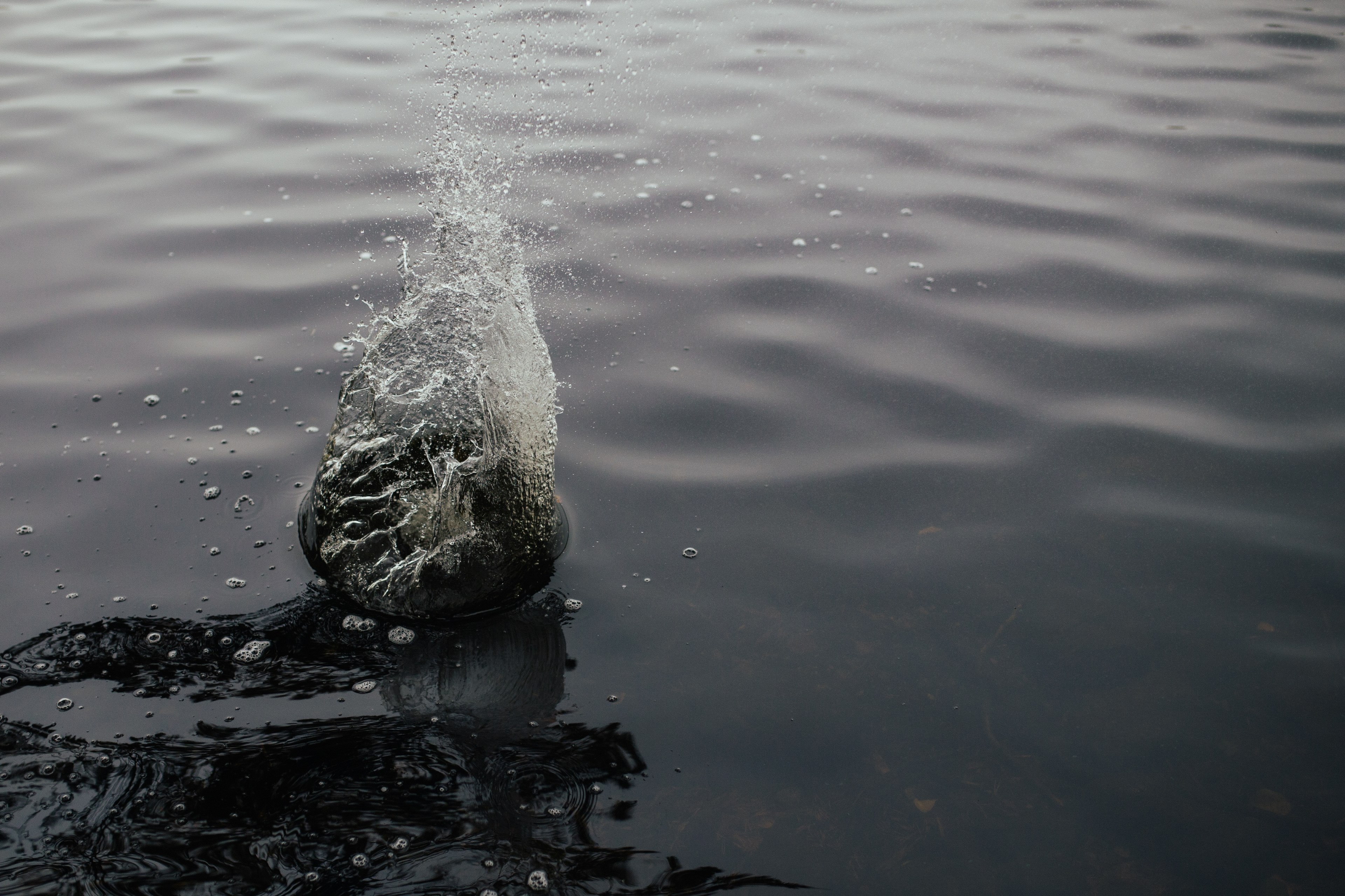 clear wafe river and coast 4k, HD Wallpaper