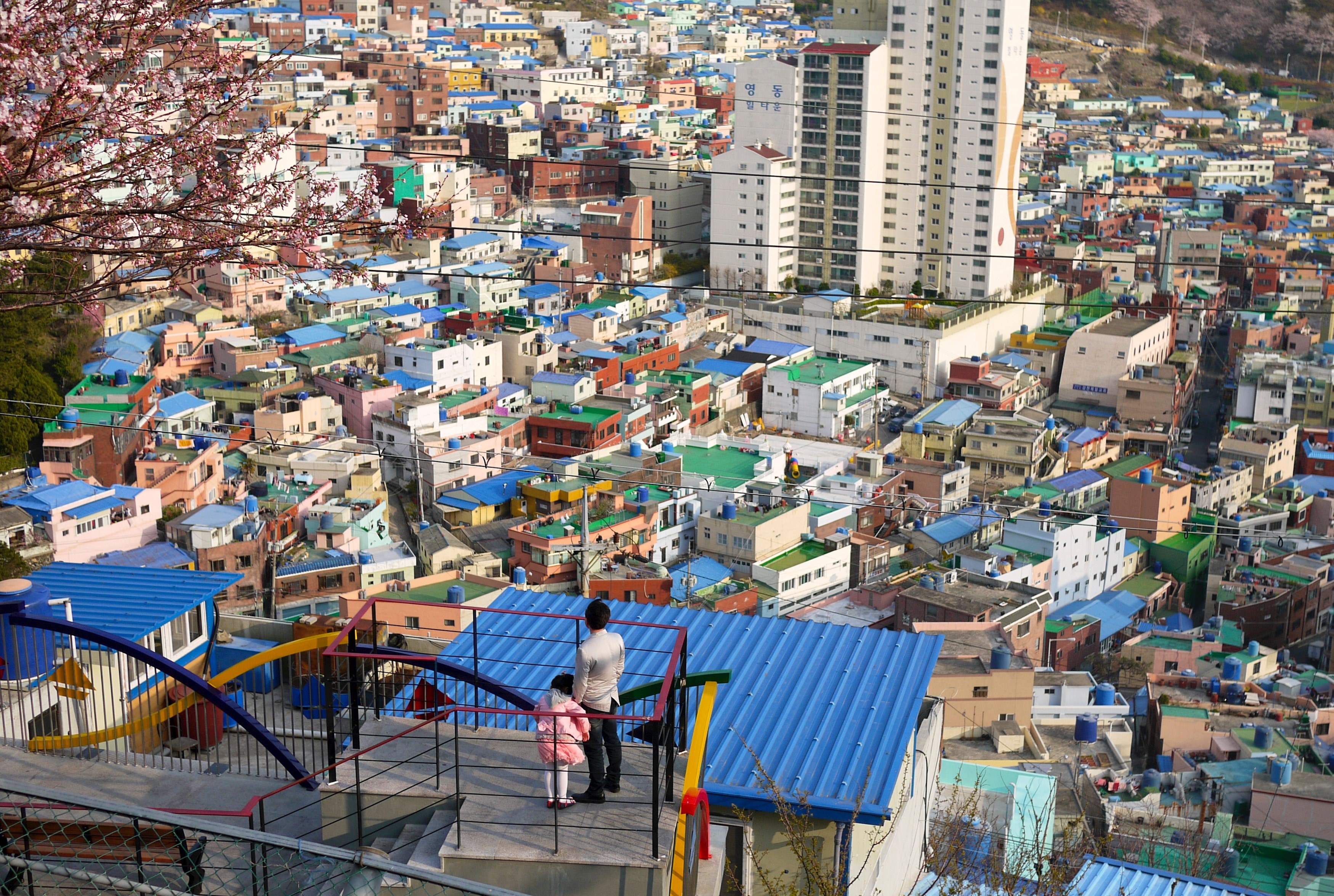 a father standing on a rooftop holding the hand of his child looking out over the colorful rooftops of a city below, rooftop views with dad 4k, HD Wallpaper