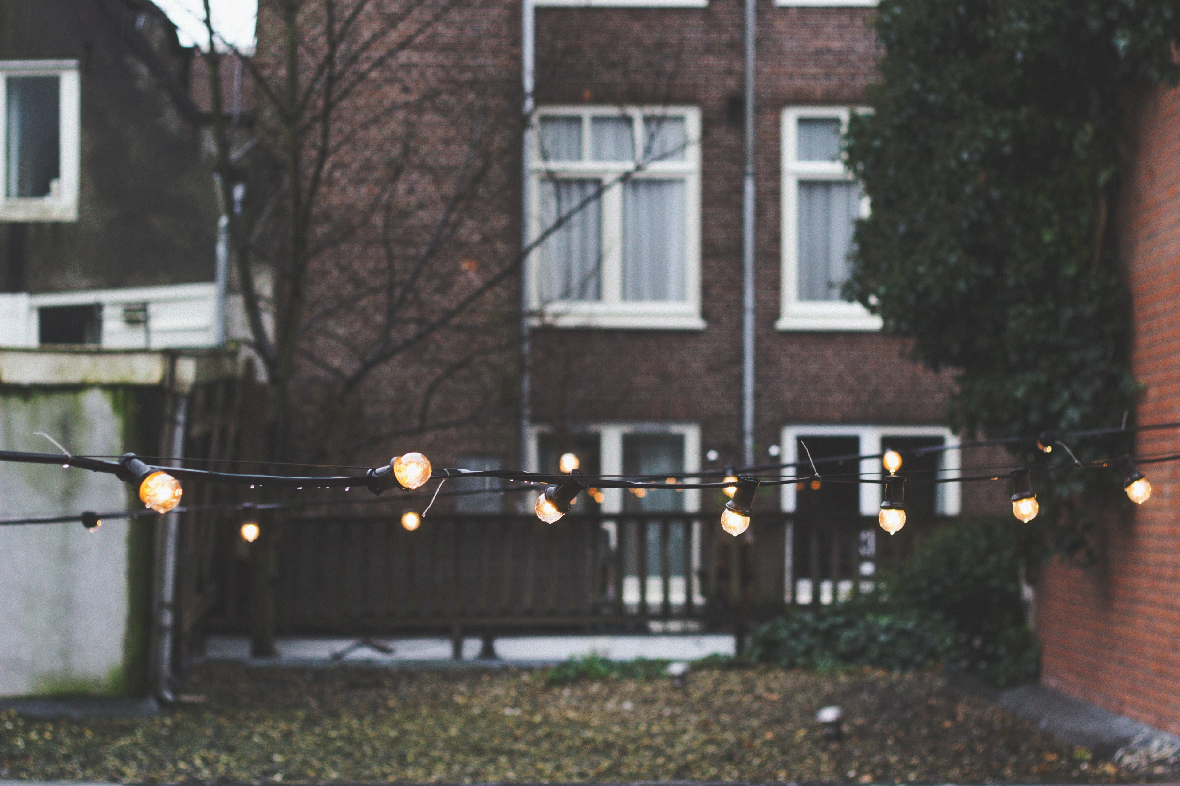 string lights in the back of an urban yard with a brick house and fences in the background, urban yard 4k, HD Wallpaper