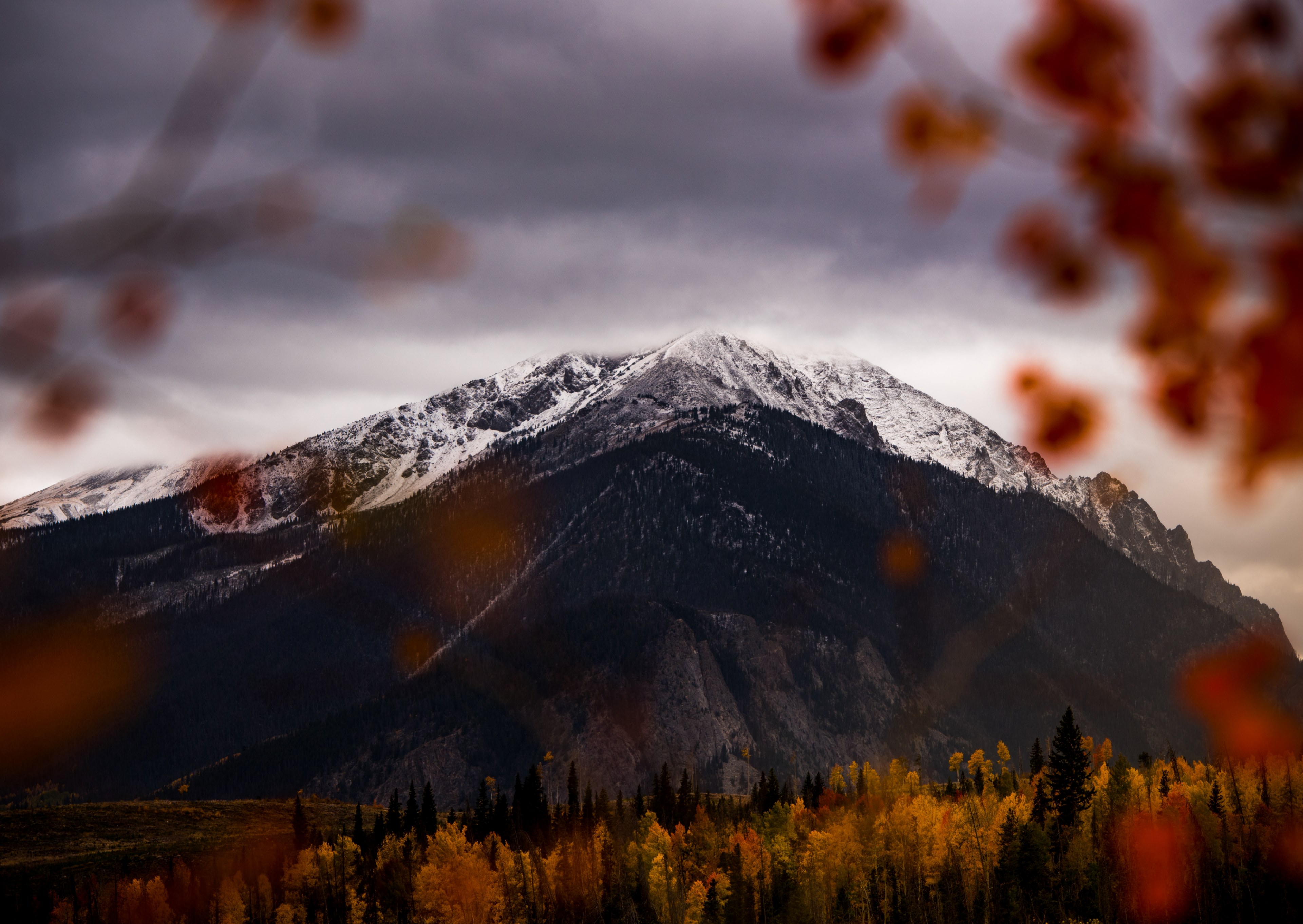 an autumn colored forest at the foot of a tall snowy mountain in silverthorne, autumn forest near a mountain 4k, HD Wallpaper