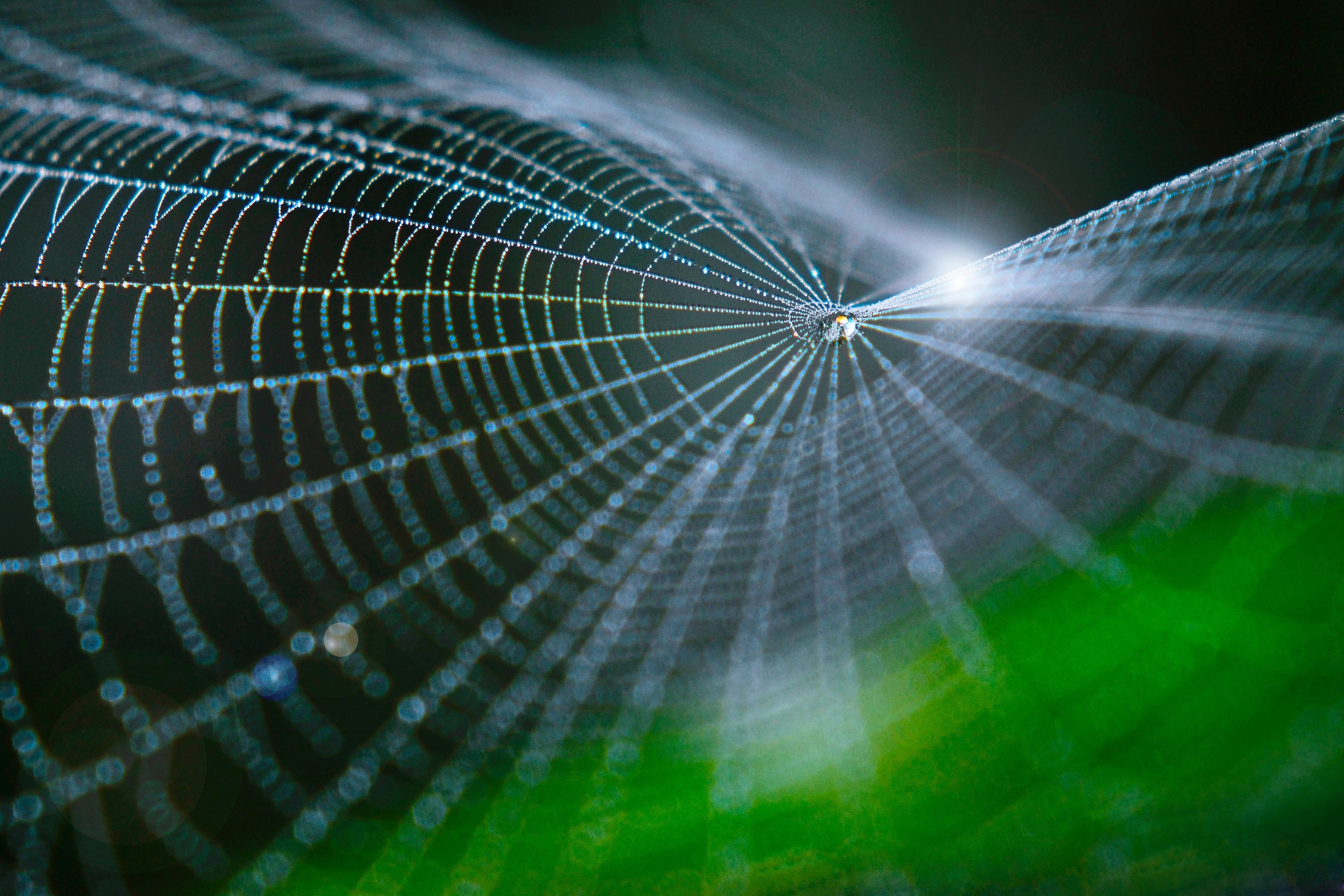 perspectiva telar patrn and naturaleza 4k, HD Wallpaper