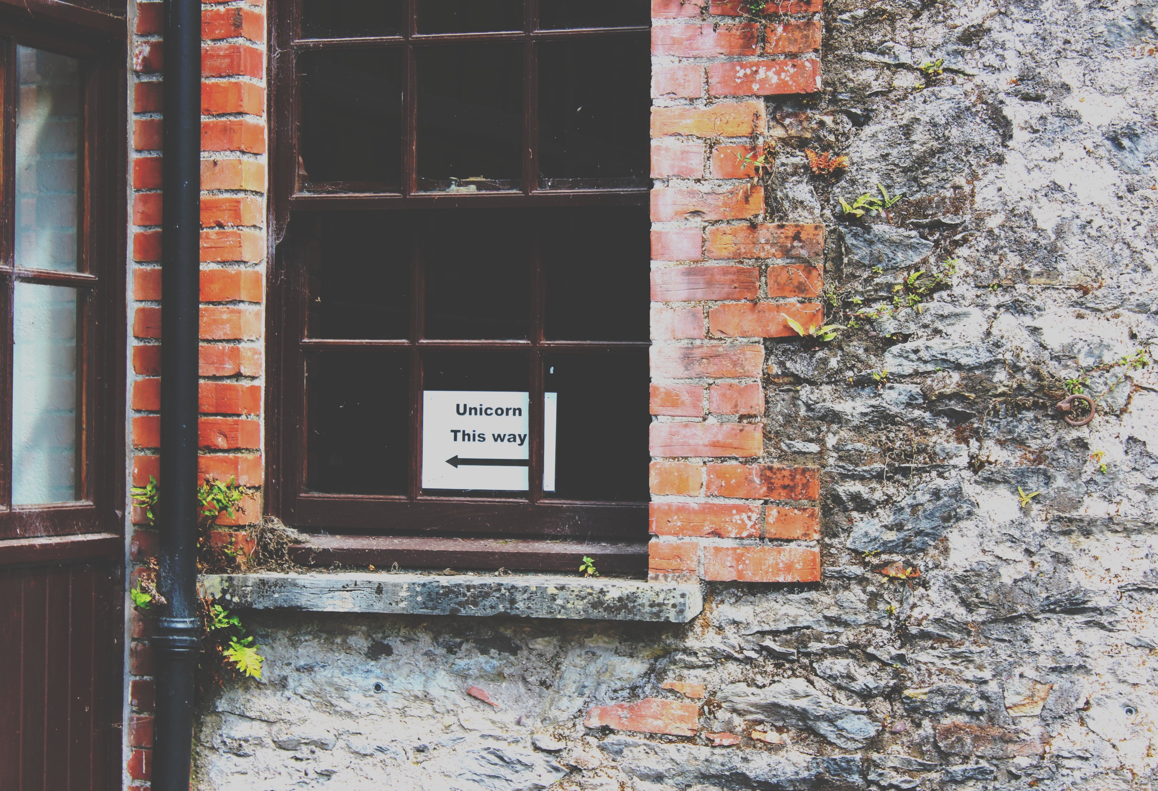 ireland unicorn this way window and wall 4k, HD Wallpaper