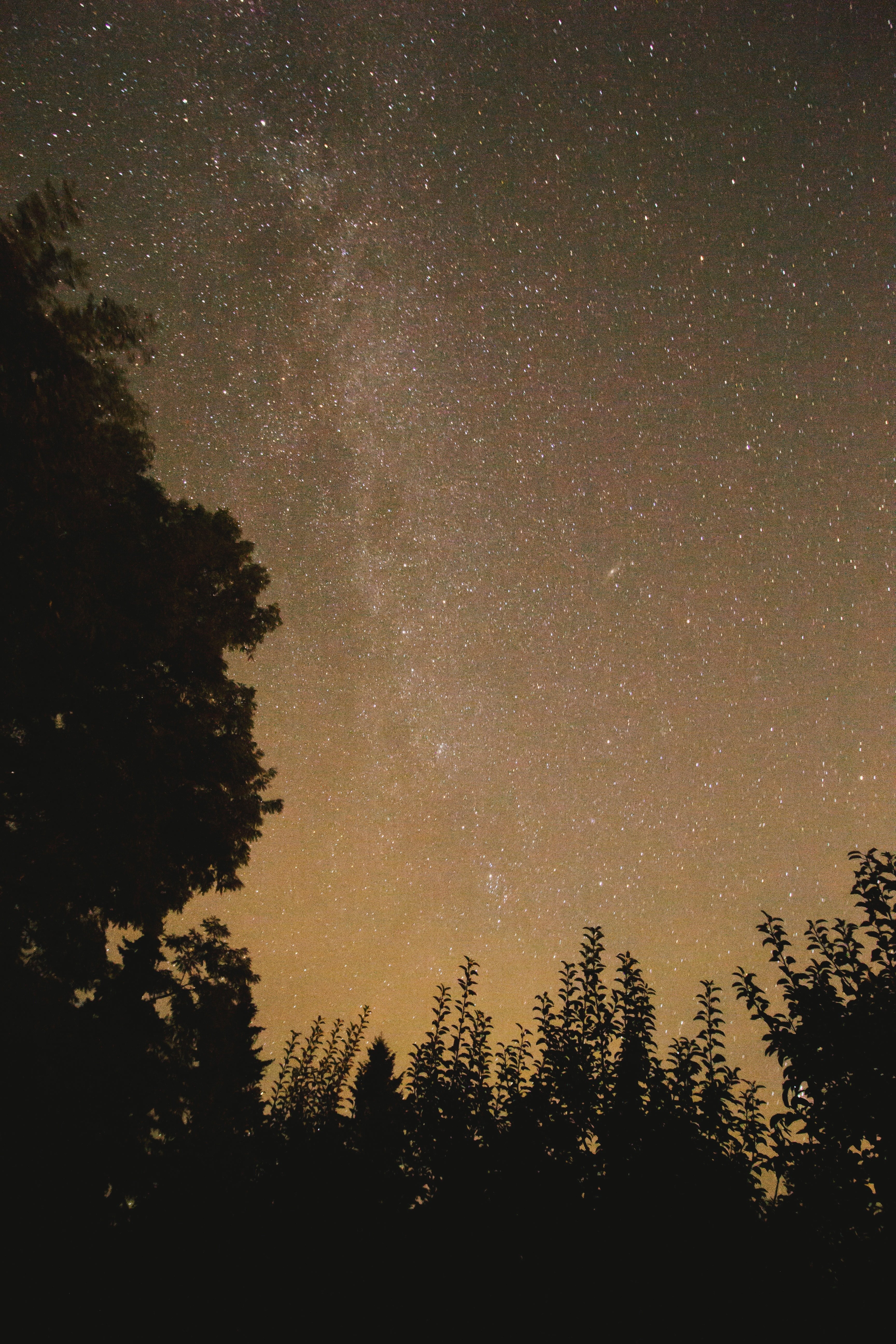 october andromeda 4k, Phone HD Wallpaper