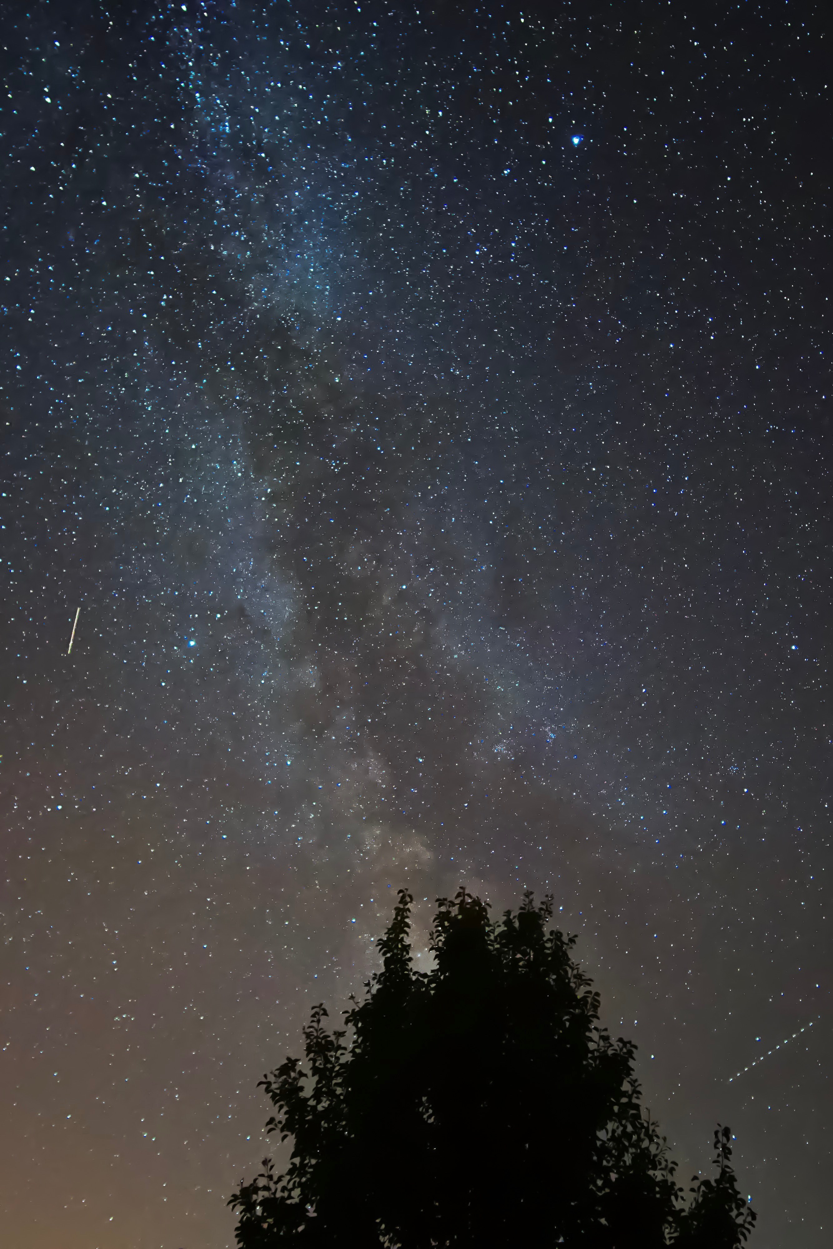milky way from the garden 4k, Phone HD Wallpaper
