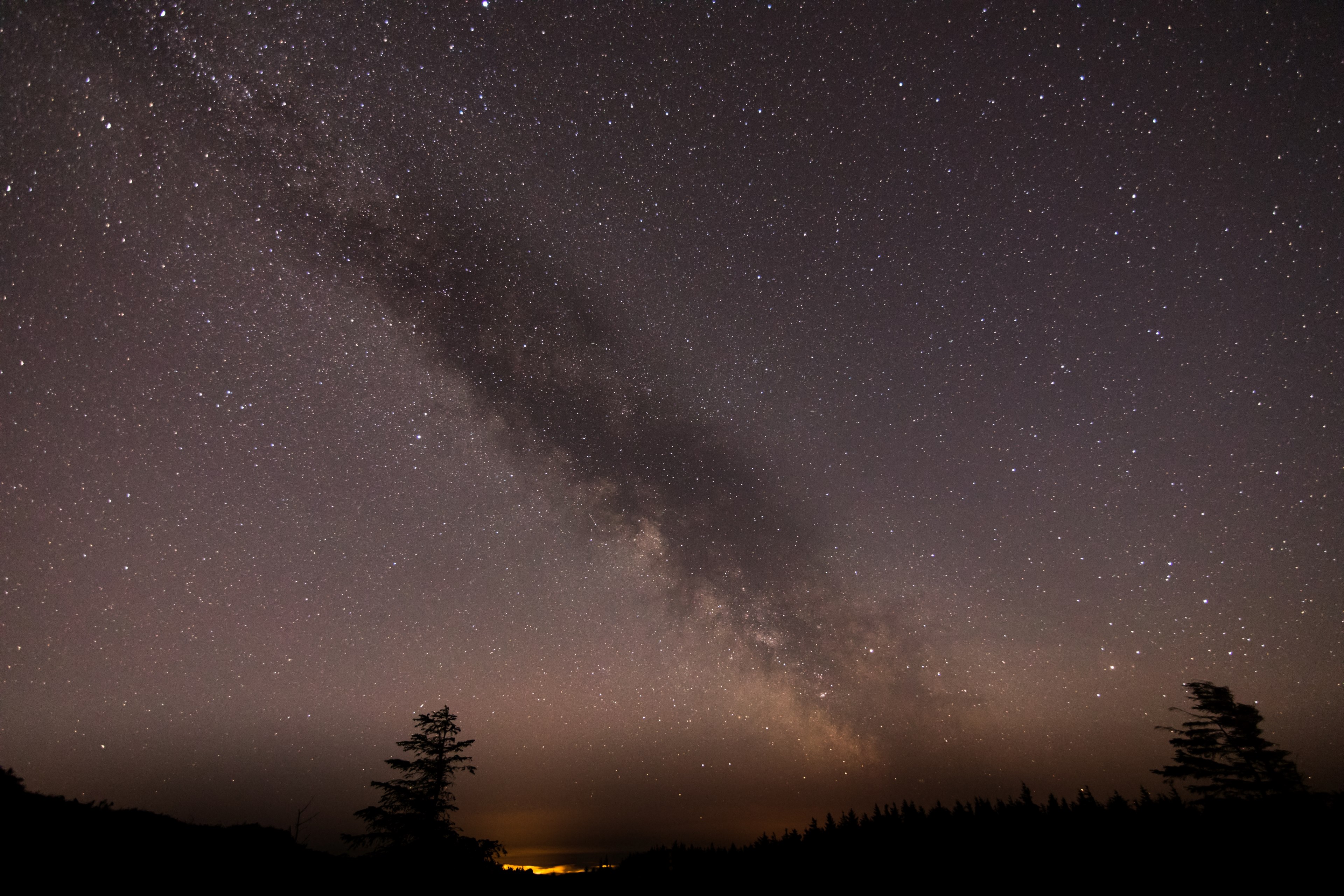night sky stars and tree 4k, HD Wallpaper