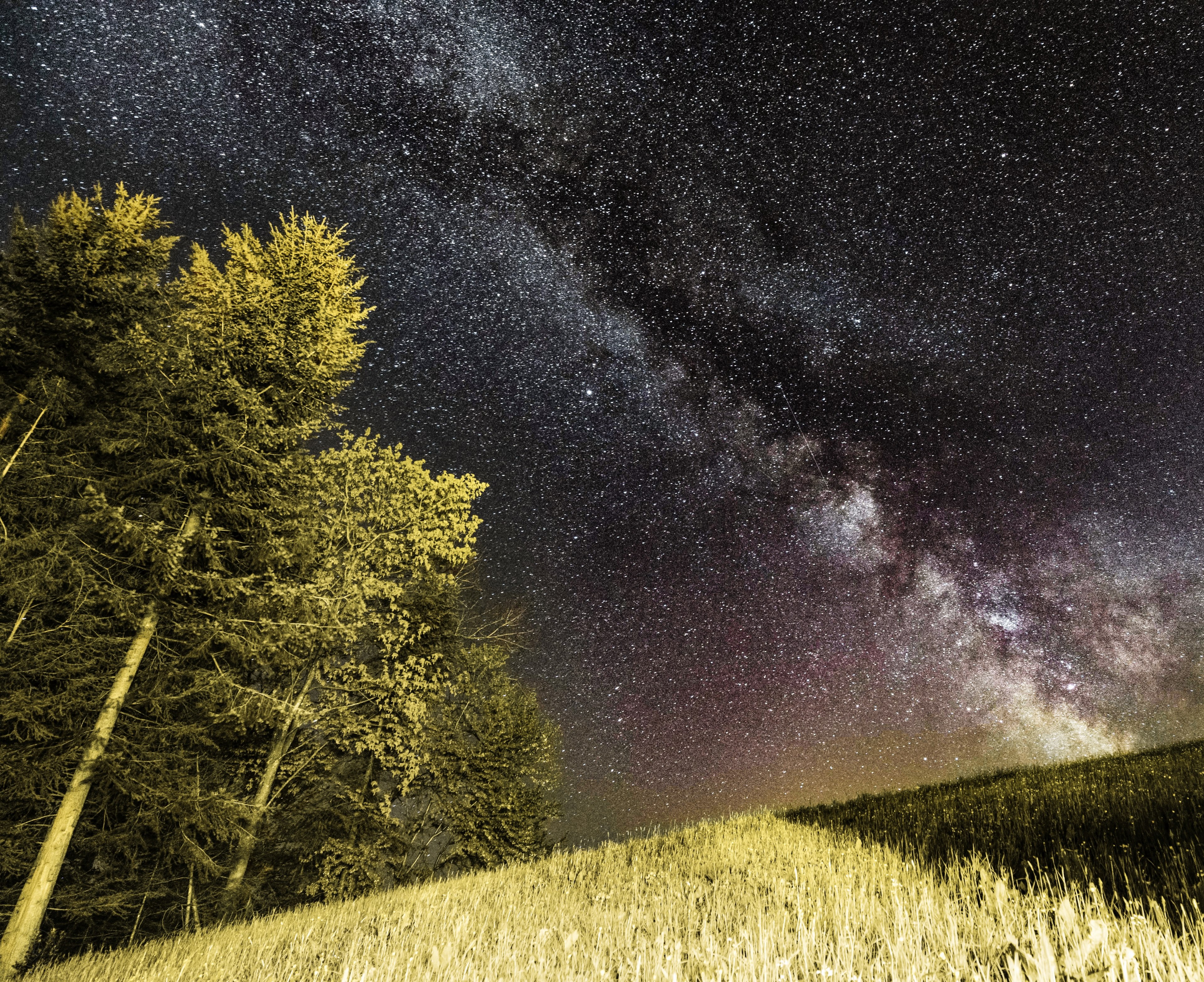 looking up at the milky way from a grass field along the forest slope in allenwinden, milky way forest allenwinden 4k, HD Wallpaper