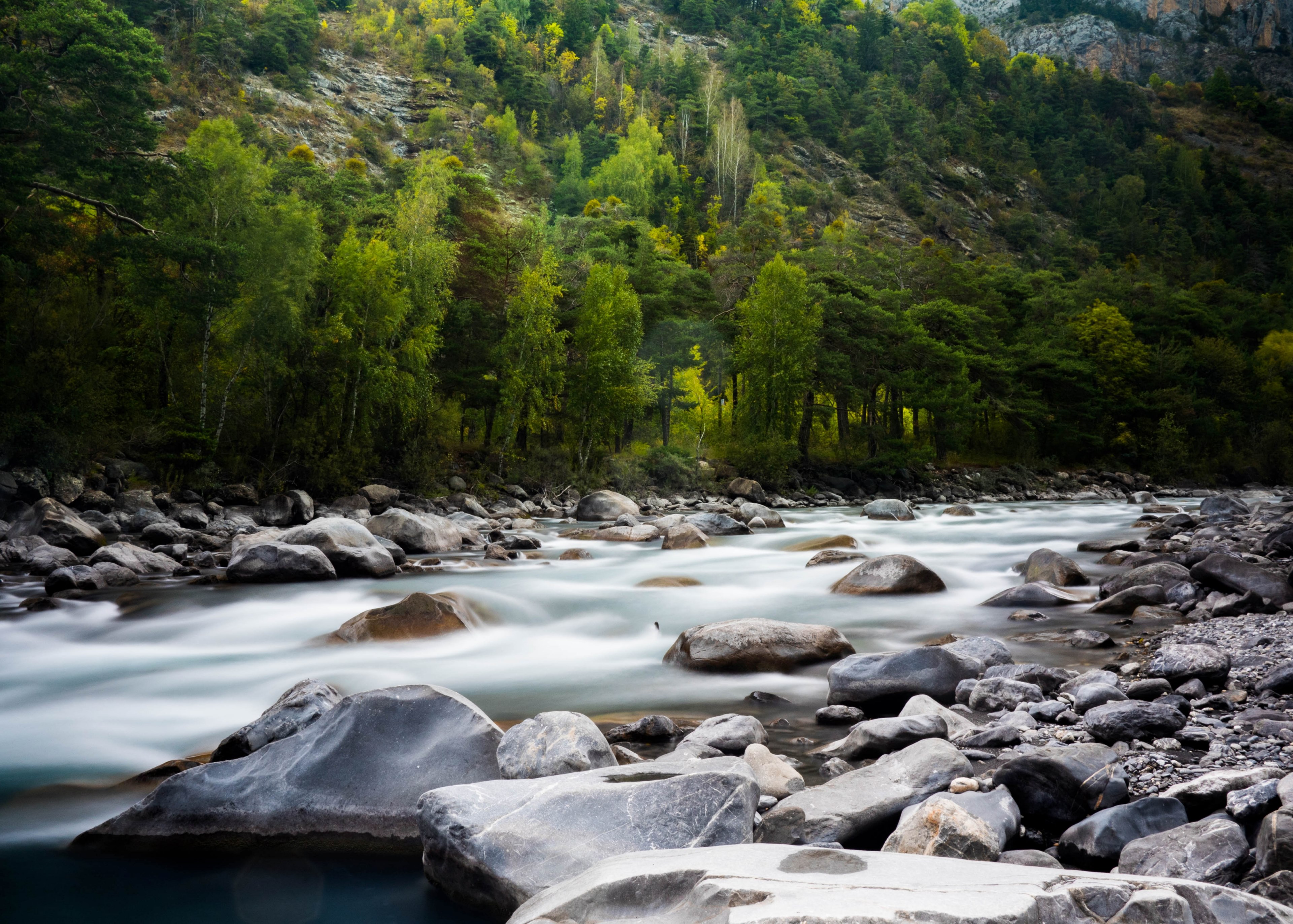 a beautiful background image featuring a stream flowing near a mountain in col de la cayolle, stream at bottom of forest 4k, HD Wallpaper