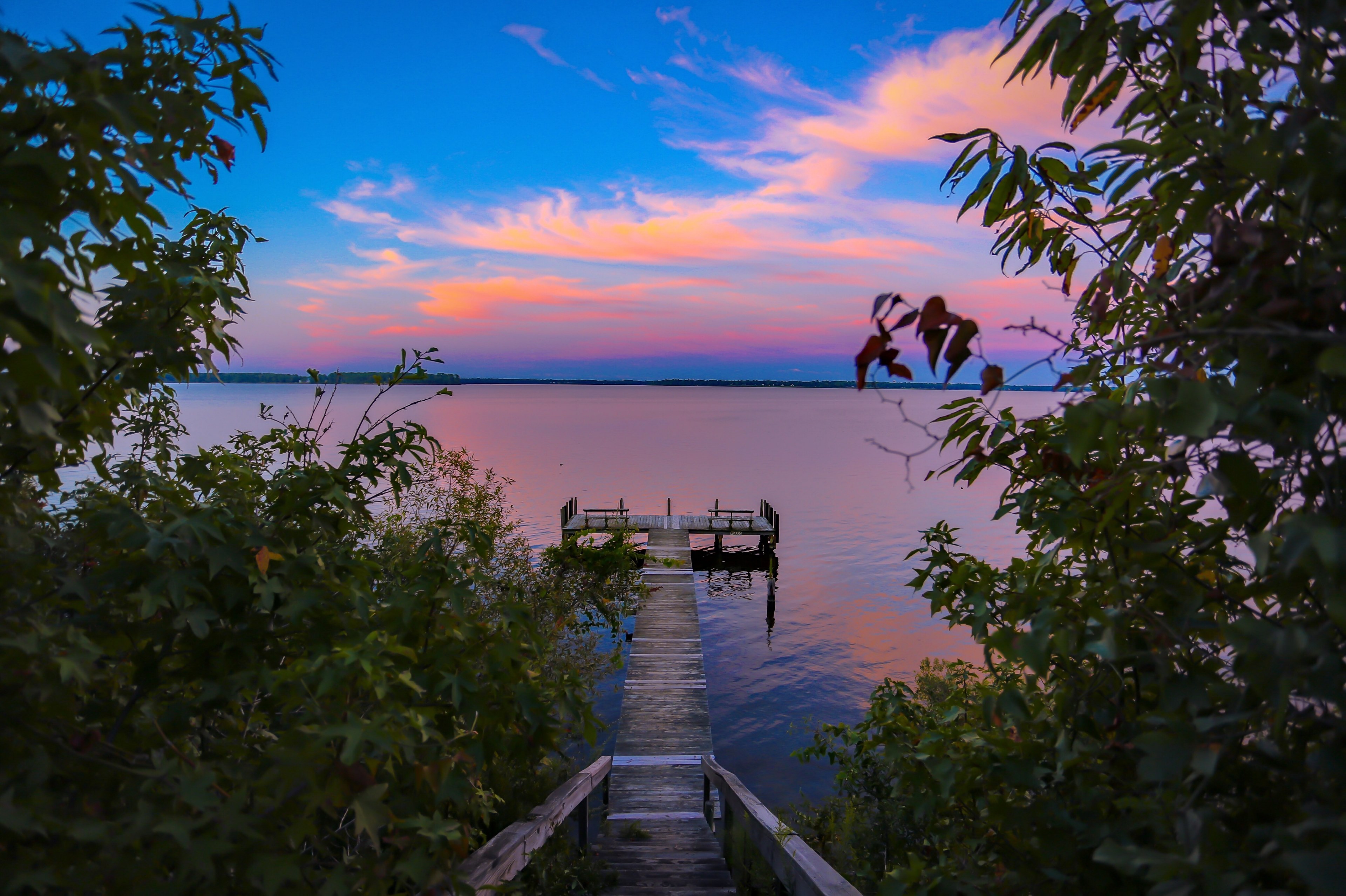 a view over a jetty across tranquil water with trees and a pink sunset, peaceful lake sunset_ 4k, HD Wallpaper