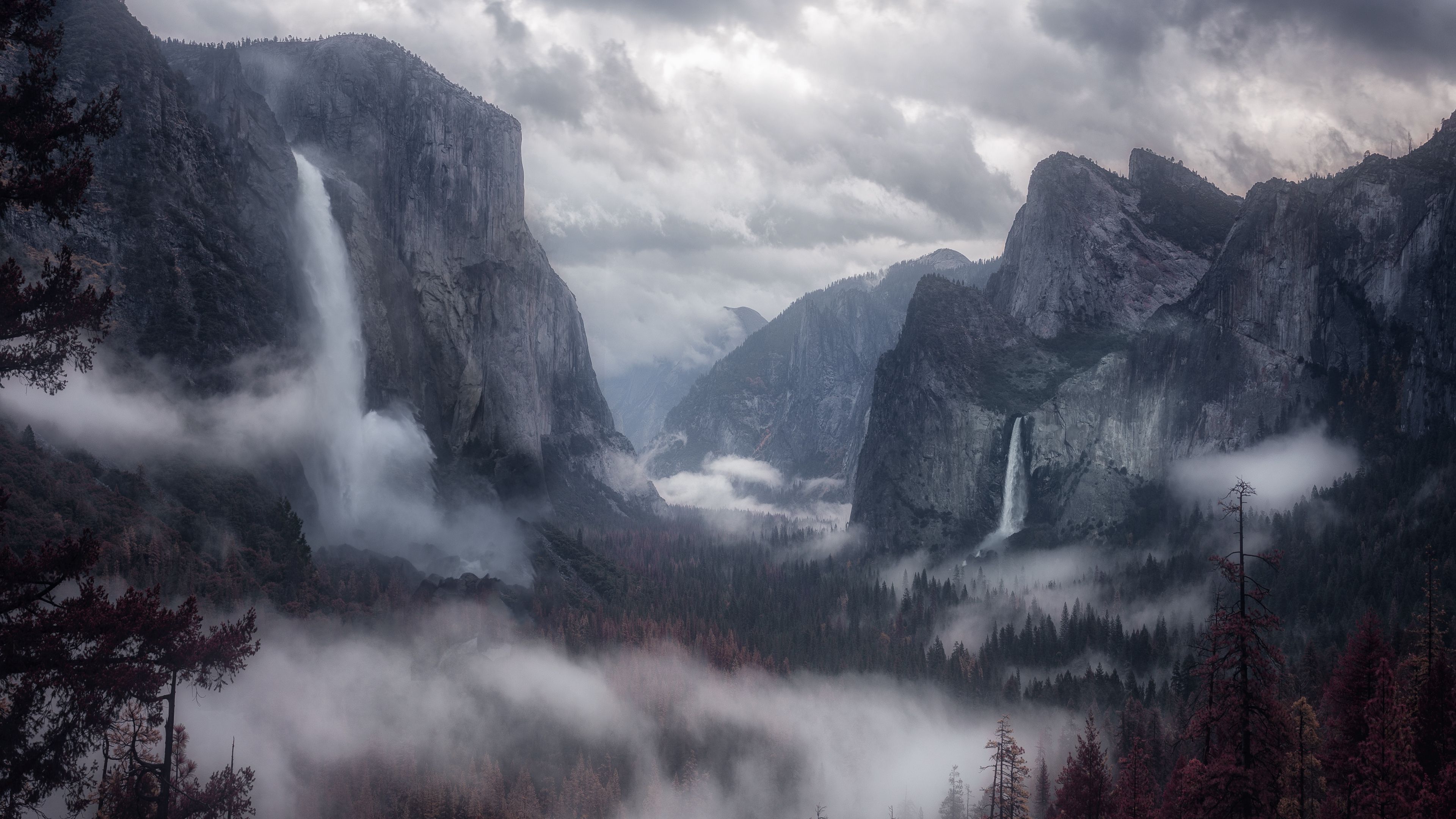 mountains, fog, trees, sky, 4k, HD Wallpaper
