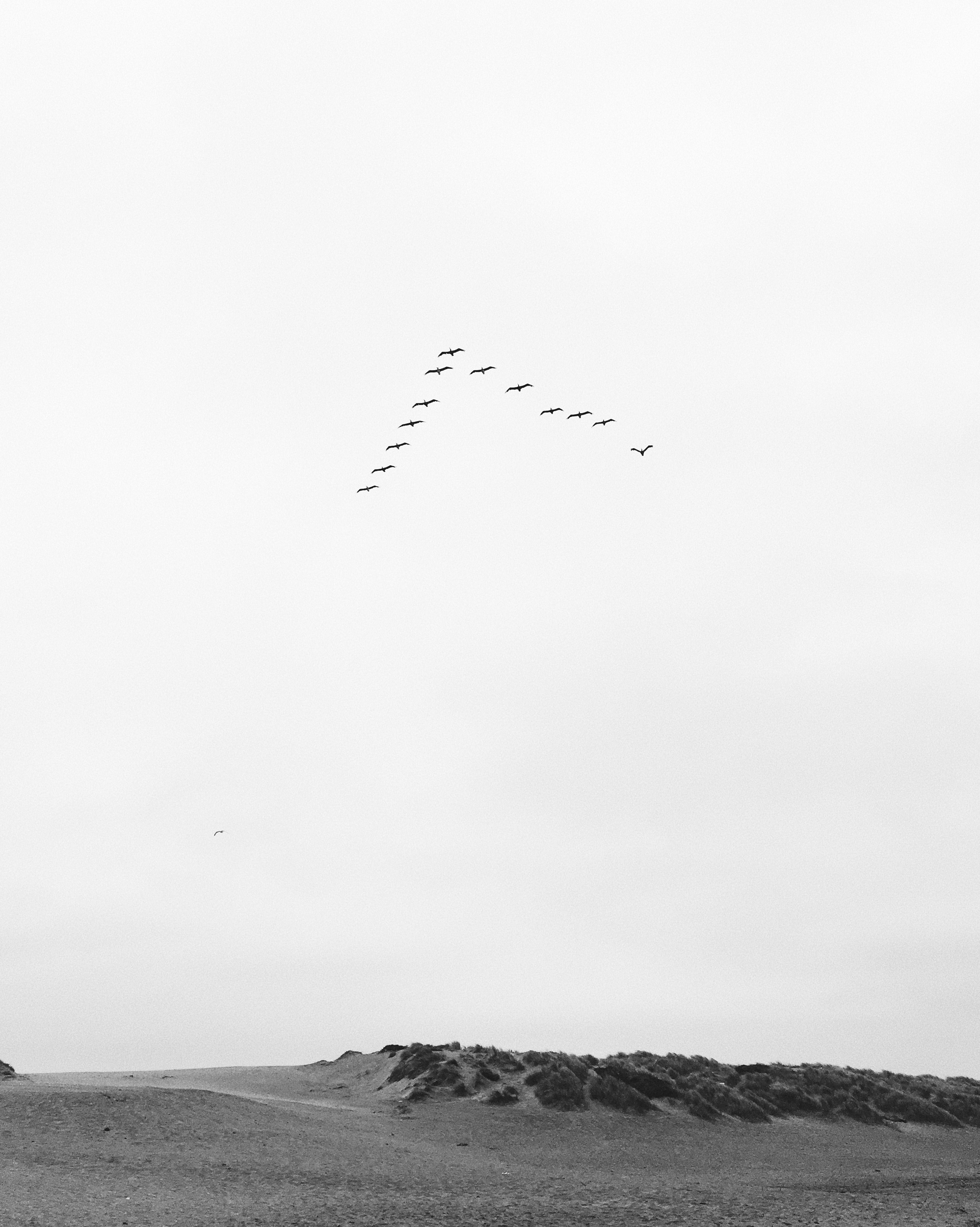 set me free 4k, Phone HD Wallpaper
