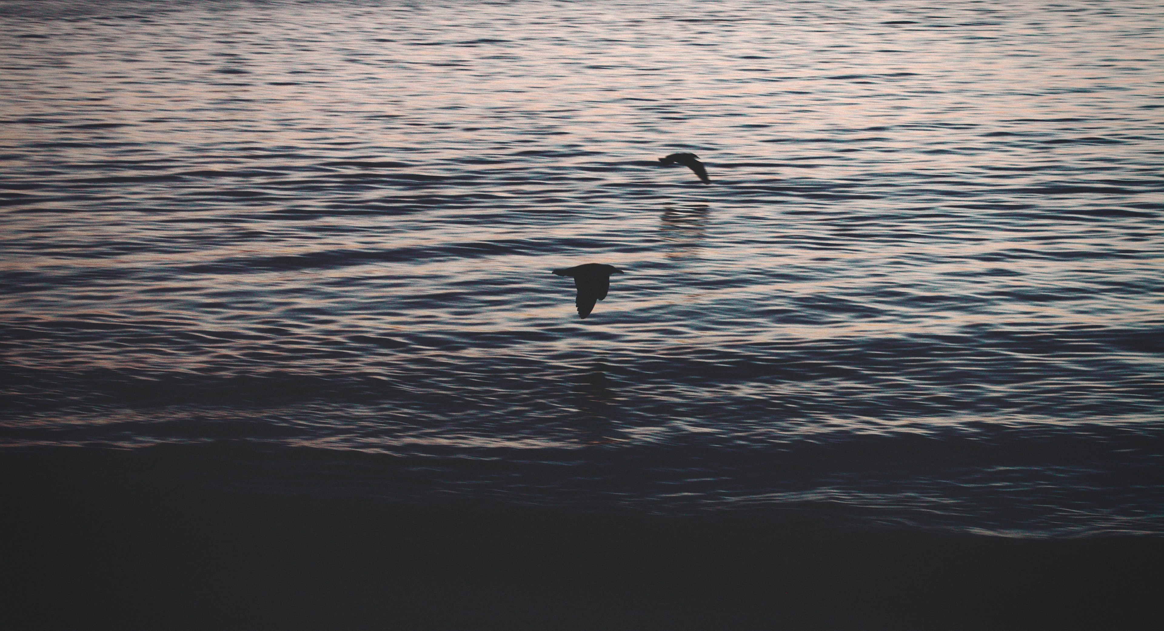 sea ocean water and coast 4k, HD Wallpaper