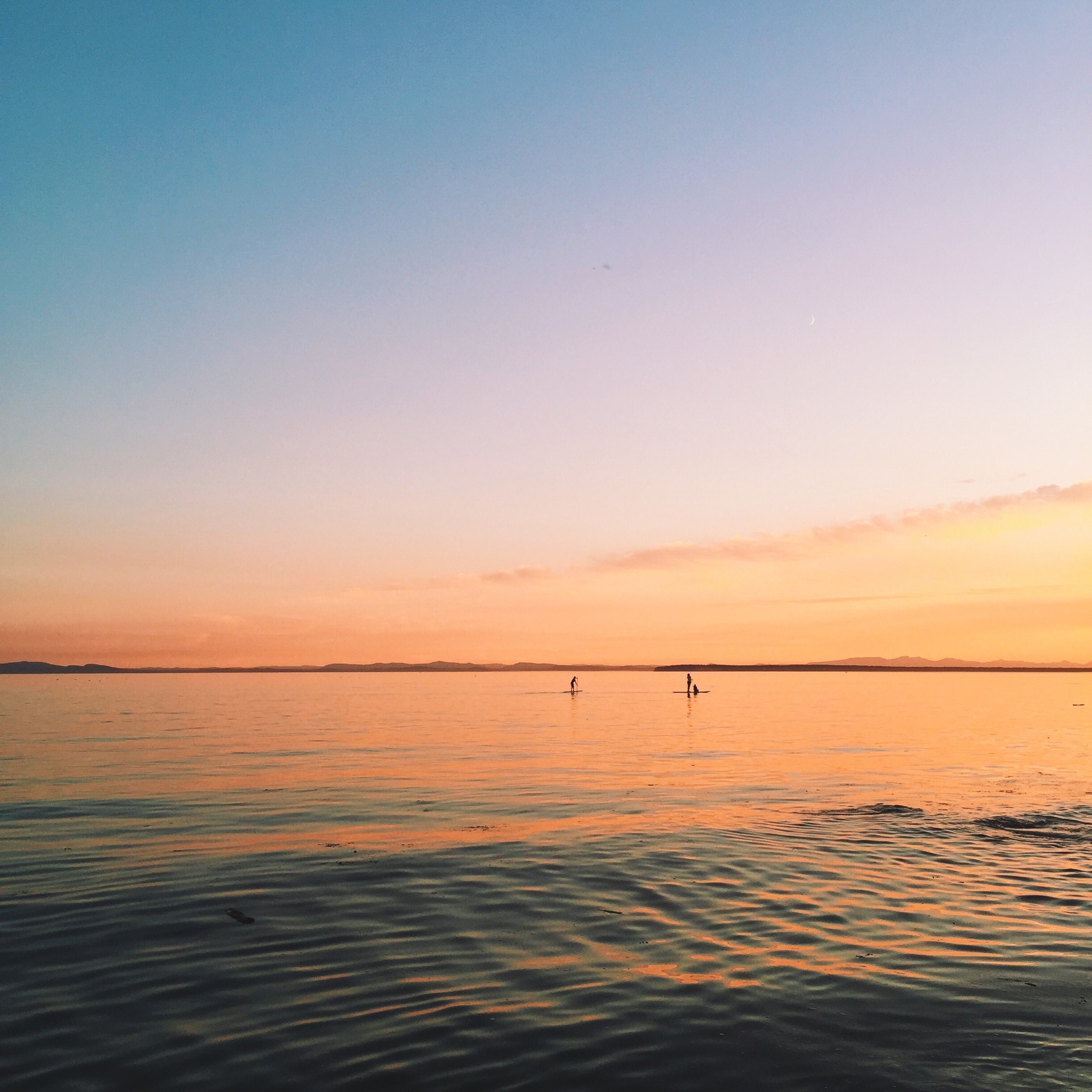 silhouette of people rafting on calm waters during sunset, people silhouette rafting 4k, HD Wallpaper