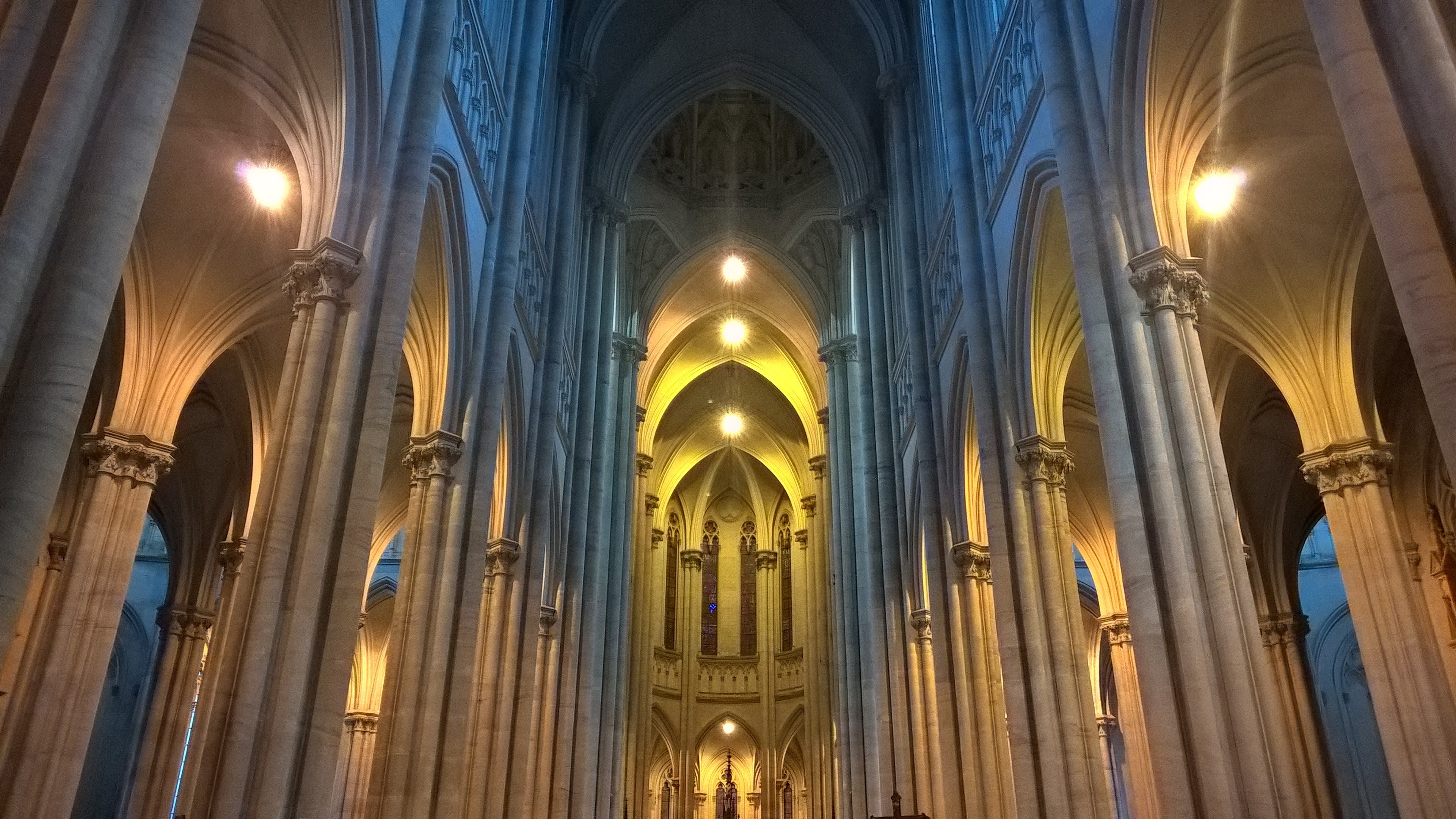 the intricate details of the catedral de la platas interior, _cathedral architecture 4k, HD Wallpaper