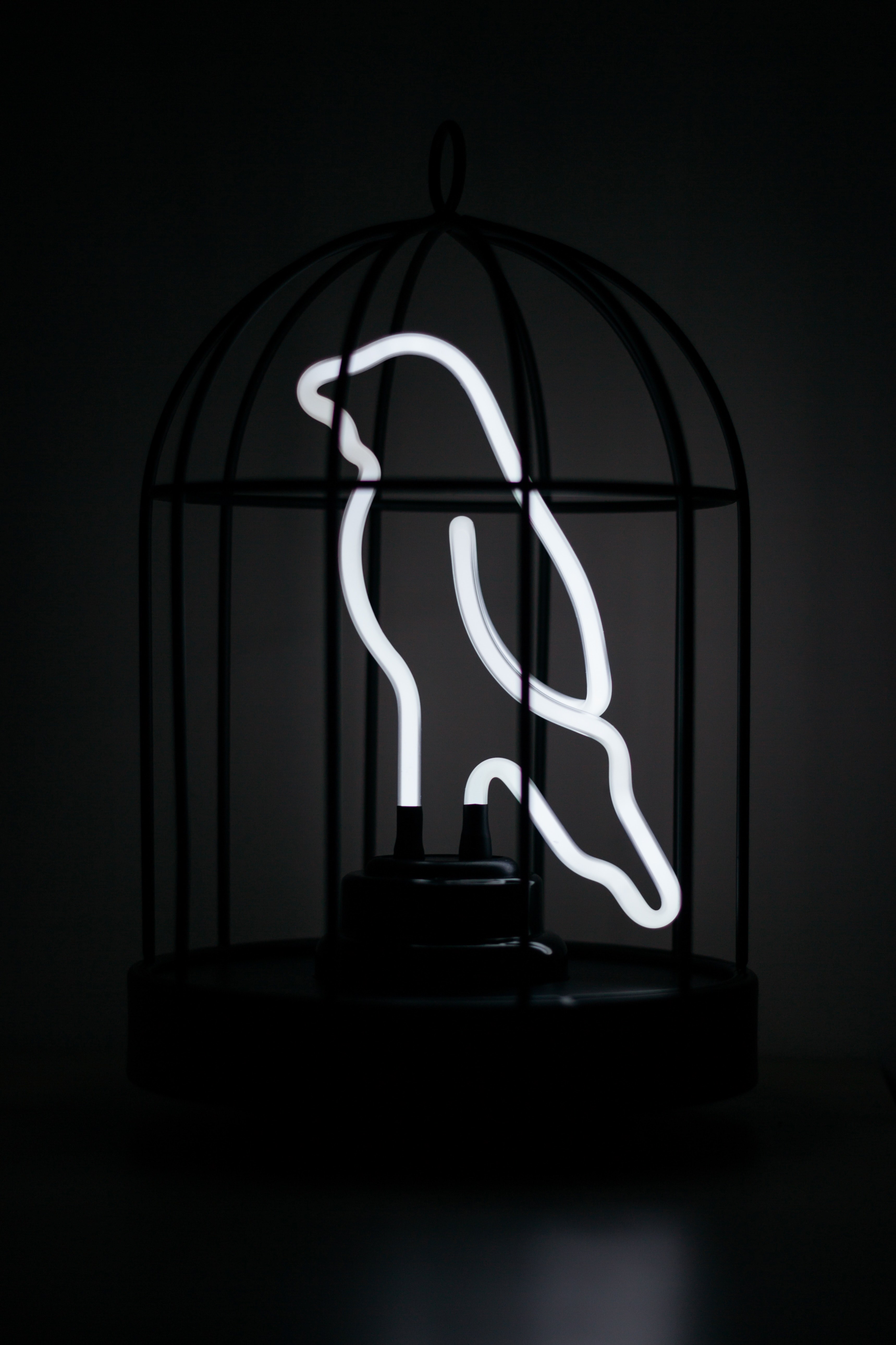 white cage lamp and light hd, 4k, Phone HD Wallpaper