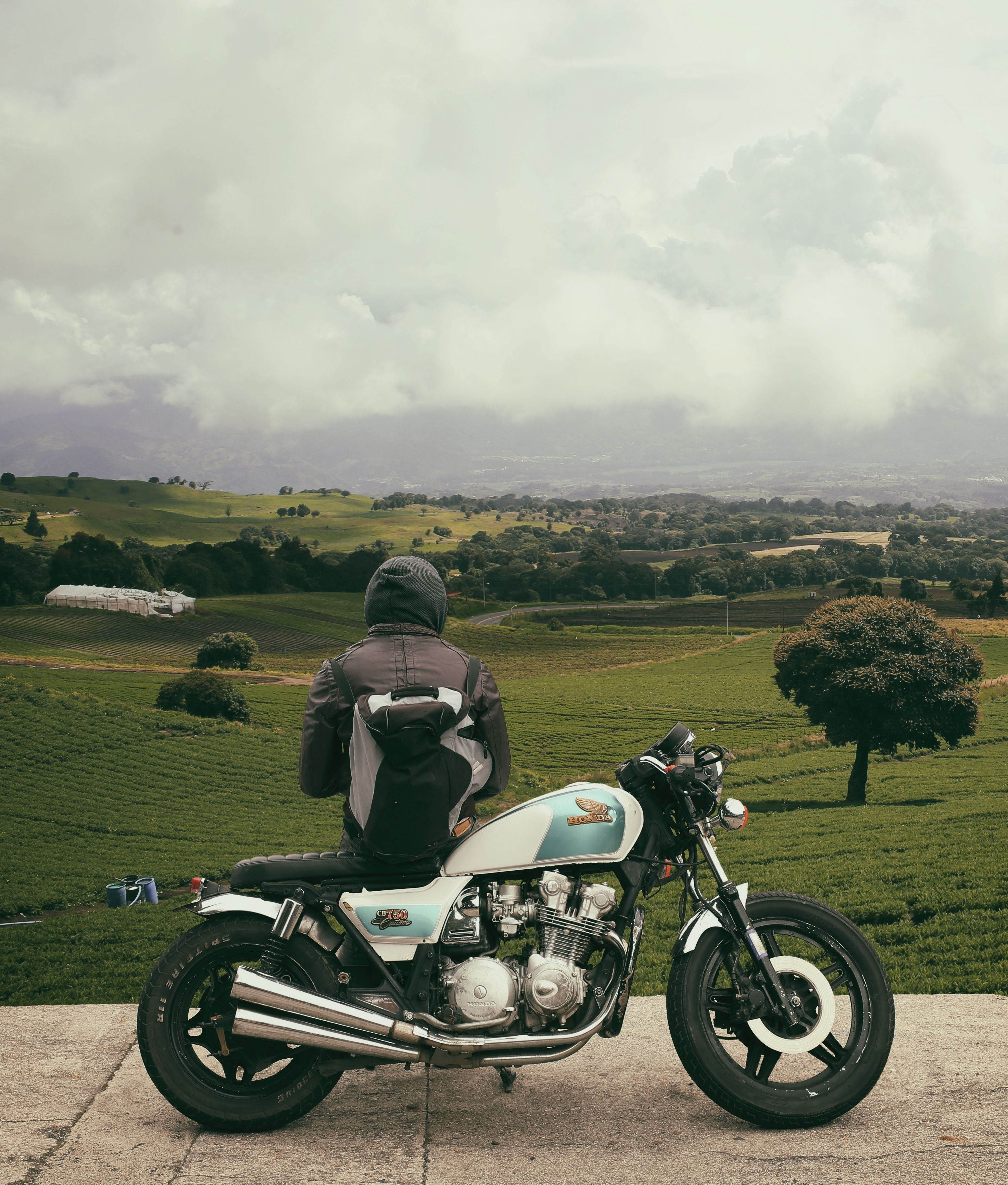 motorcycle bike field and biker hd, 4k, Phone HD Wallpaper