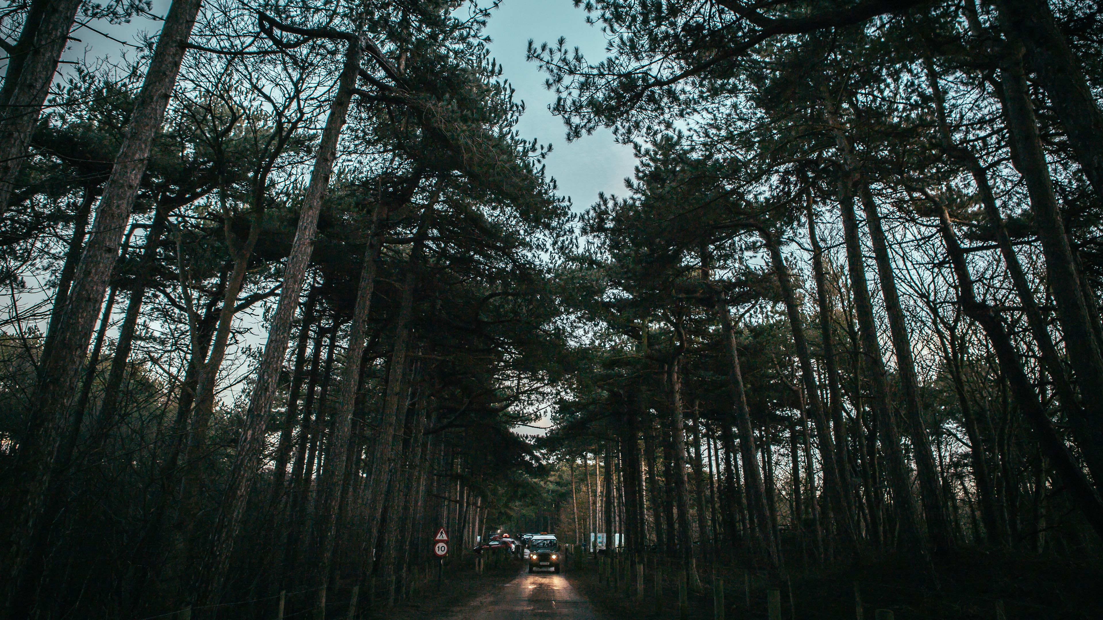 trees, road, sky, car, 4k, HD Wallpaper