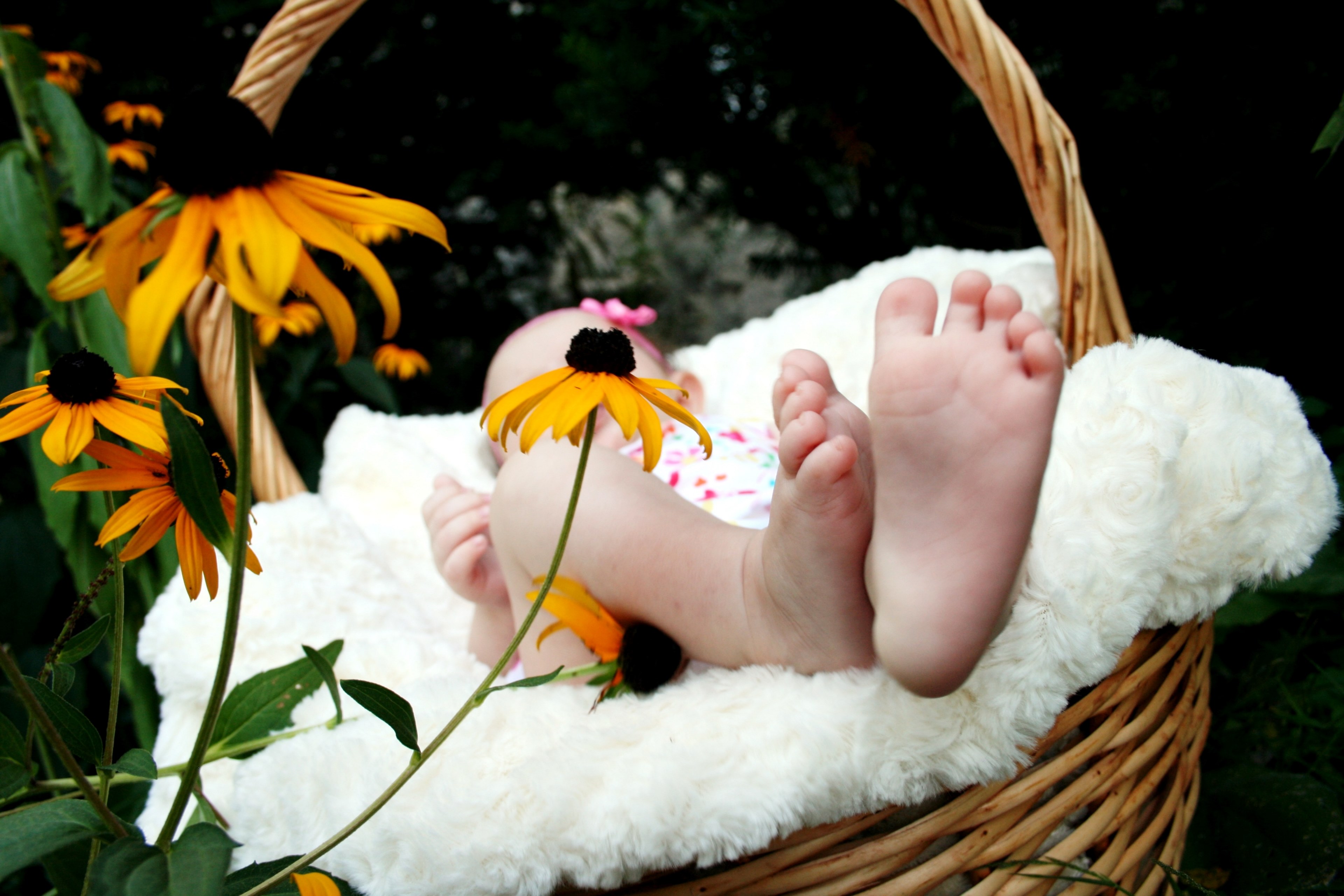 a barefoot baby on a soft blanket in a wicker basket, baby in a wicker basket 4k, HD Wallpaper