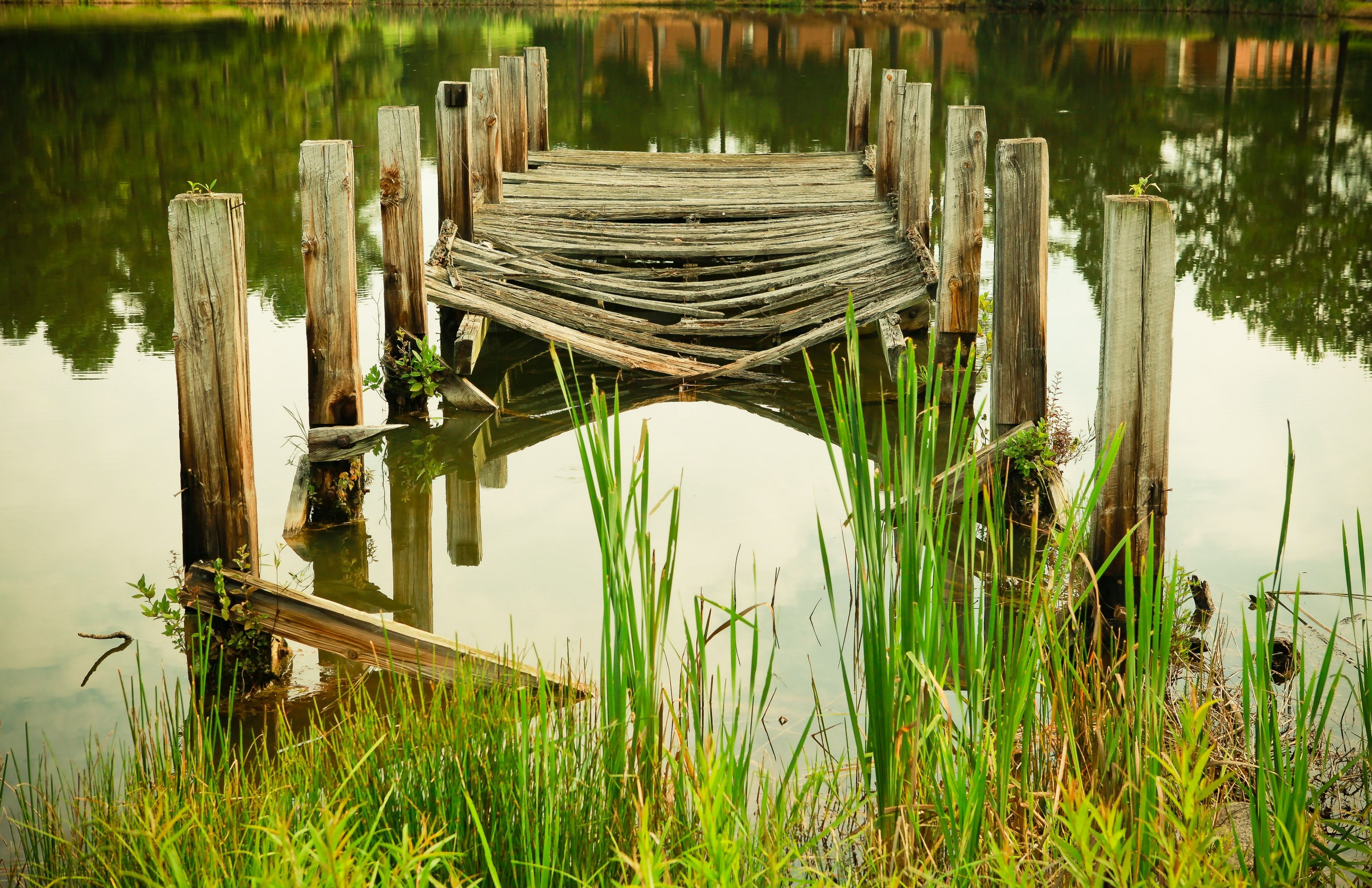 broken dock pond and decay 4k, HD Wallpaper