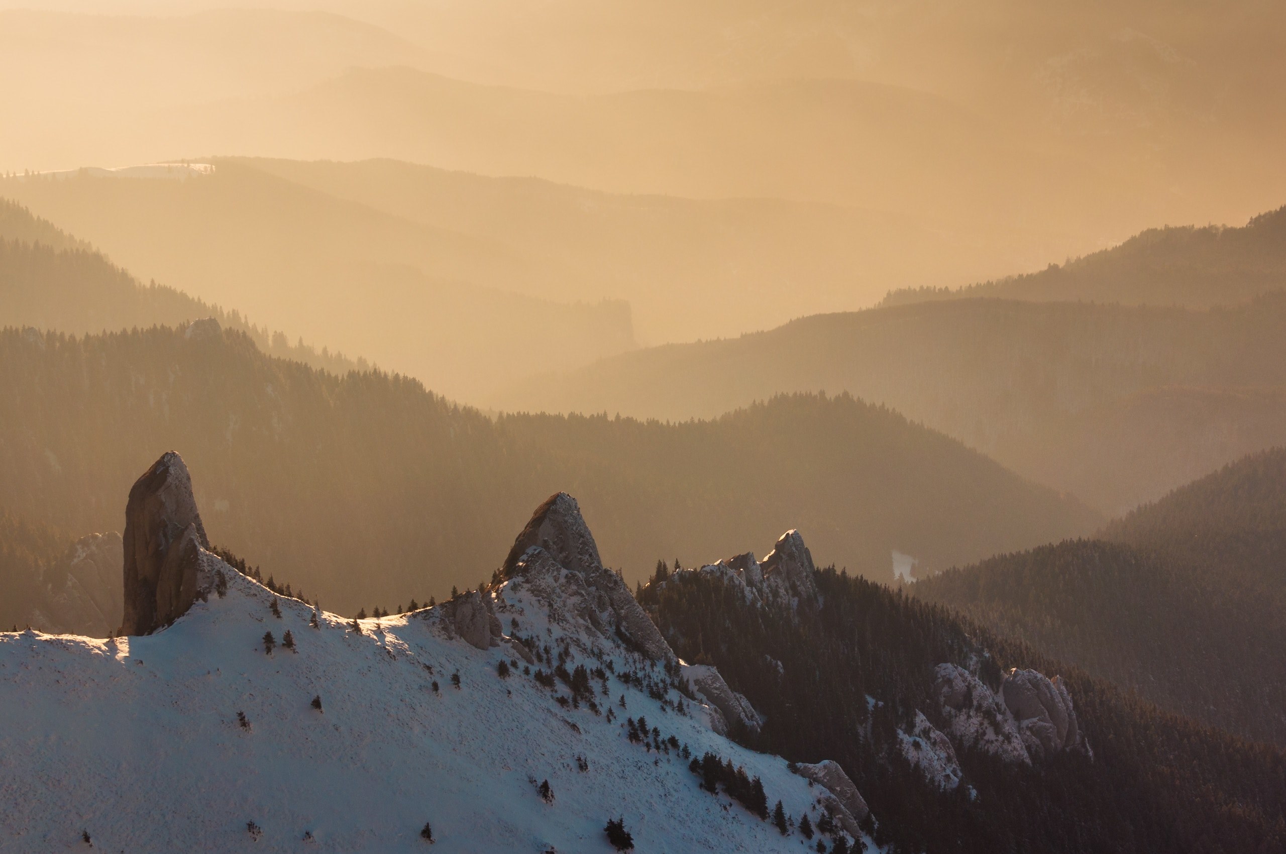 ridge haze highland and tree 4k, HD Wallpaper