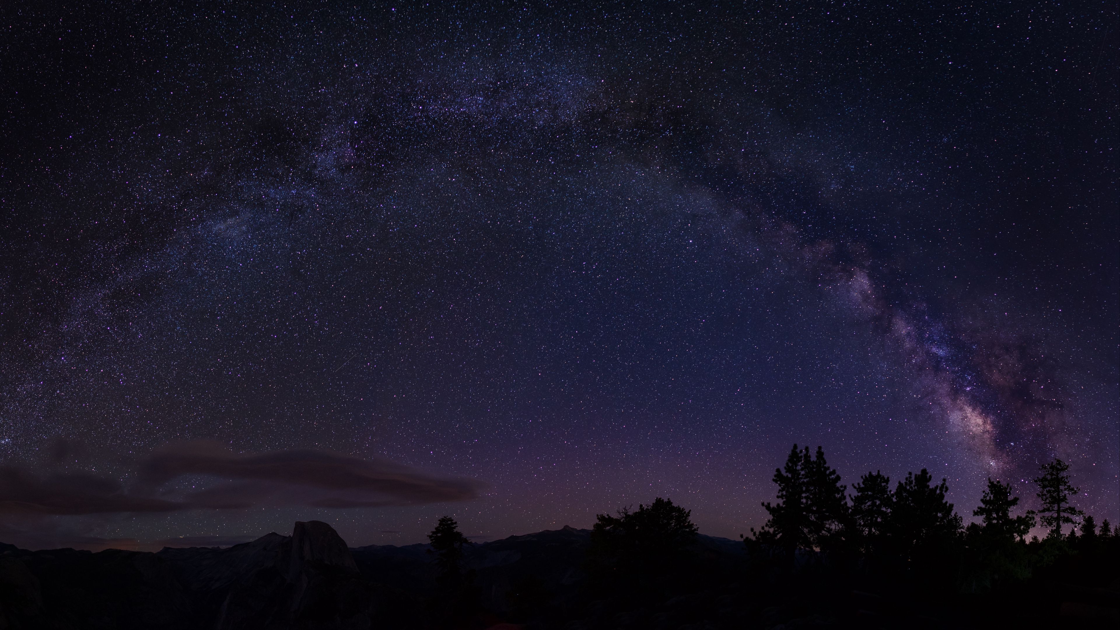 starry sky, trees, milky way, california, usa, 4k, HD Wallpaper