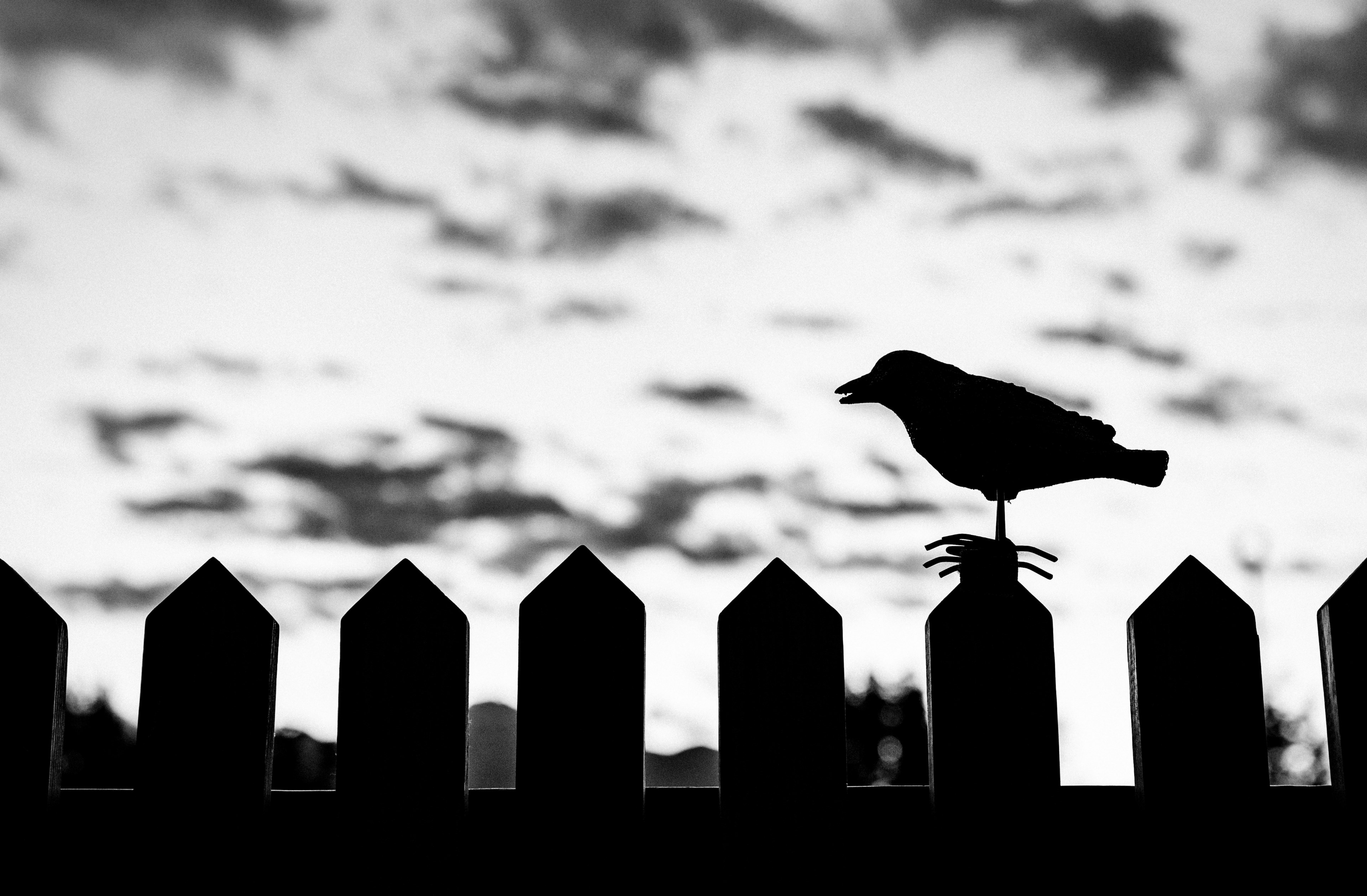 moody picket fence cloudy sky and black and white 4k, HD Wallpaper