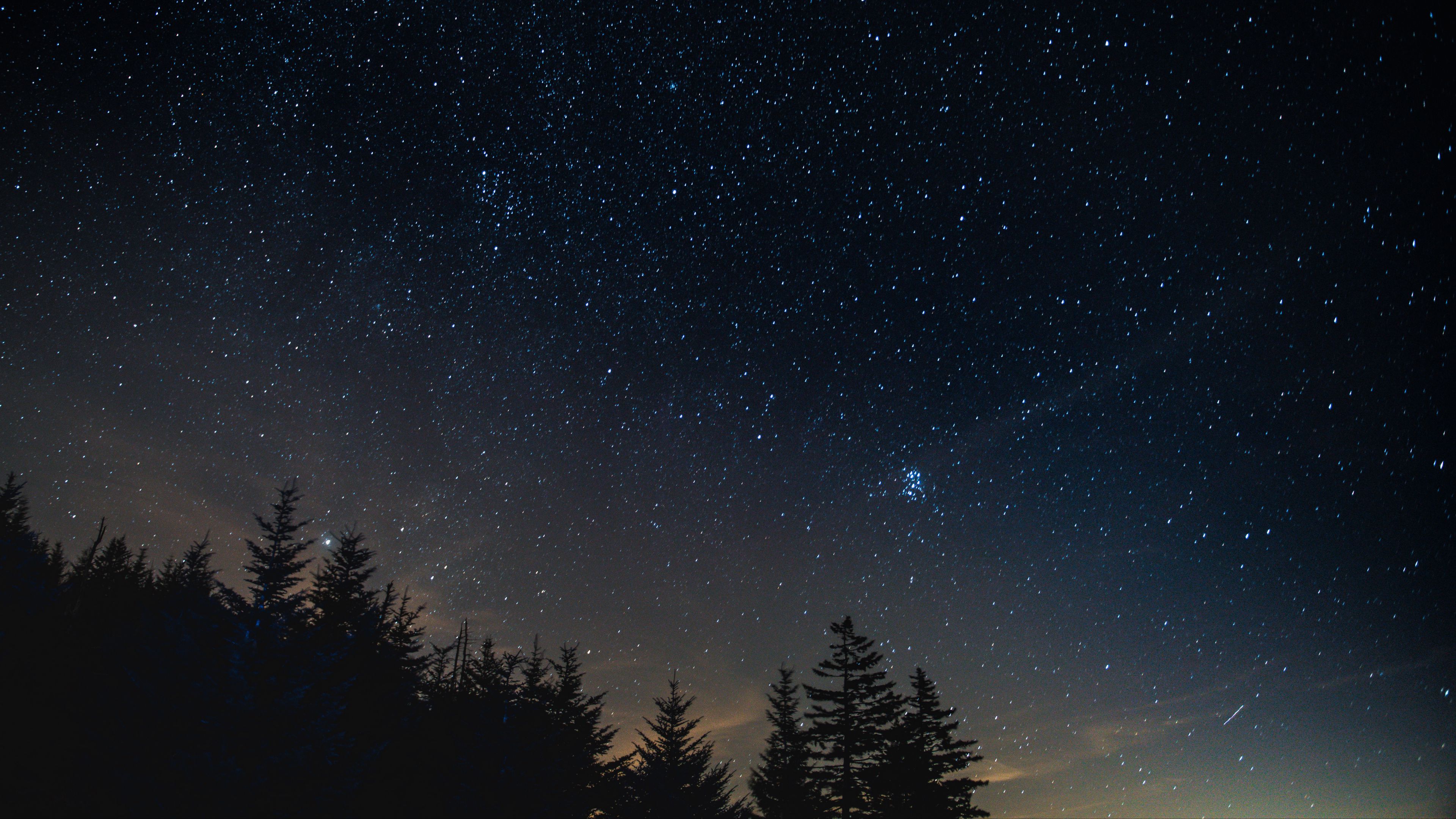 starry sky, night, trees, night landscape, 4k, HD Wallpaper