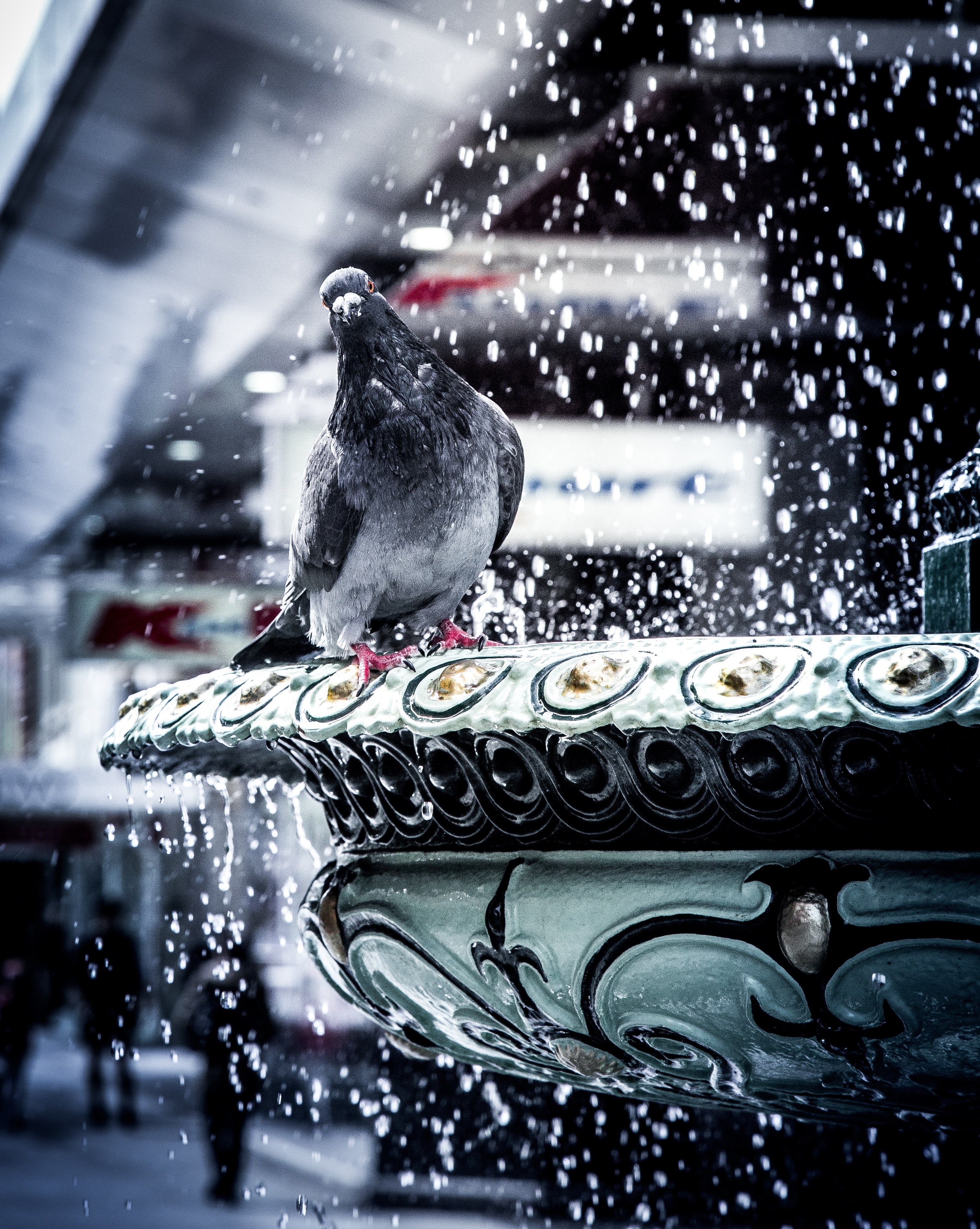 nature shopping mall adelaide and urban and street hd, 4k, Phone HD Wallpaper