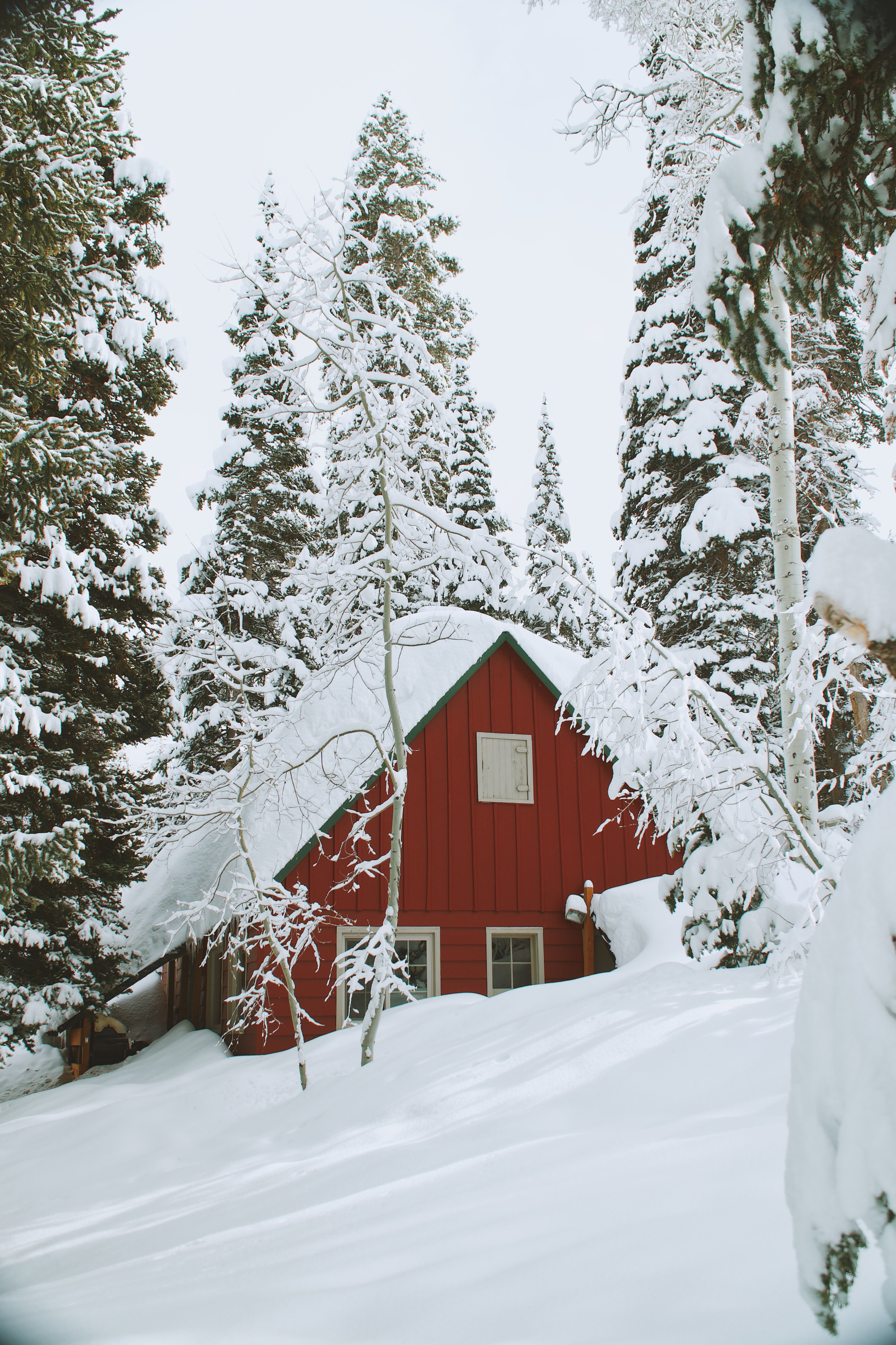 a snow covered house shaped as a trial on a winter hill in solitude nordic center in utah, solitude ski resort 4k, Phone HD Wallpaper