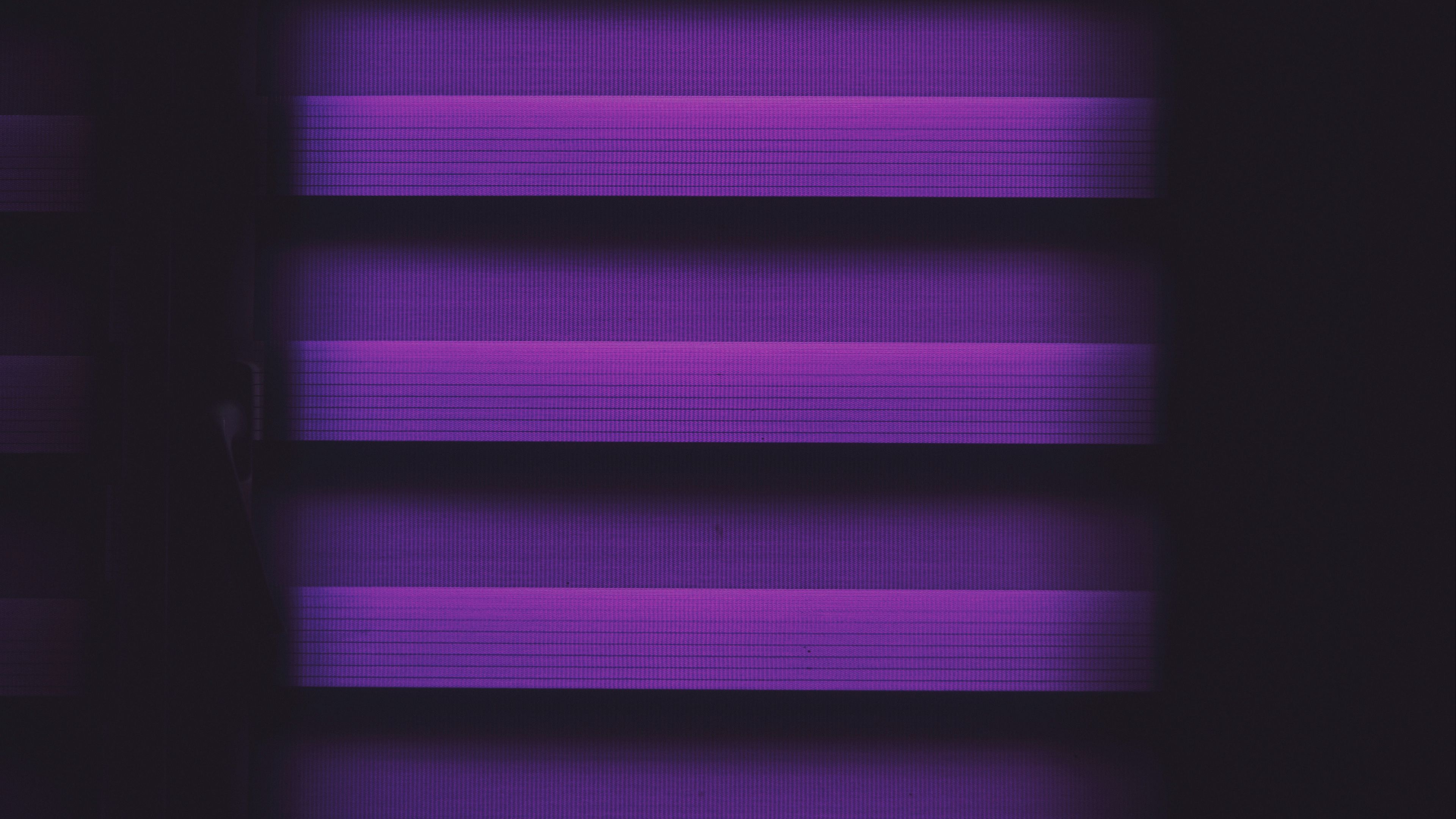 lines, purple, texture, stripes, 4k, HD Wallpaper