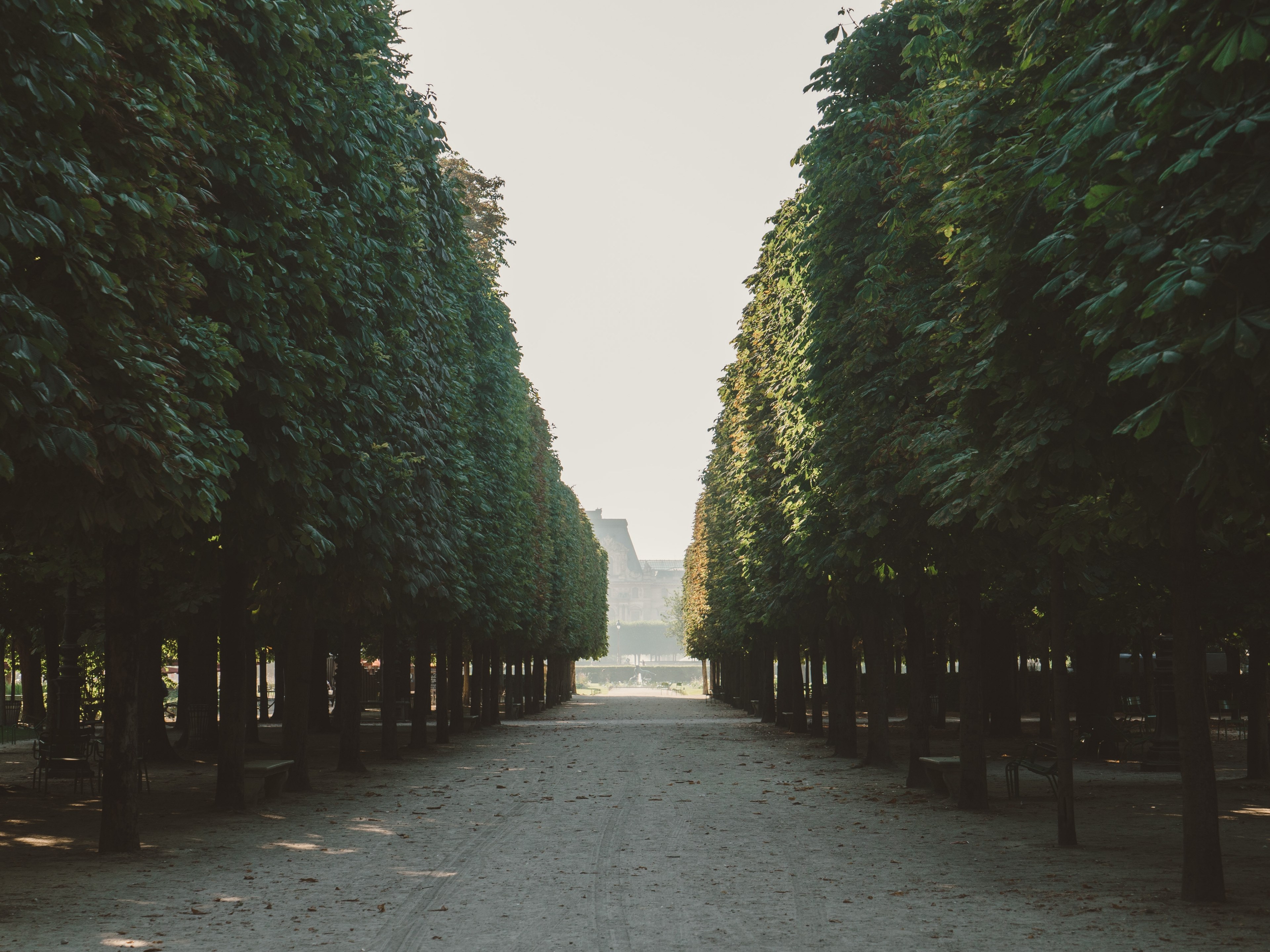 louvre forest sunrise and pari 4k, HD Wallpaper