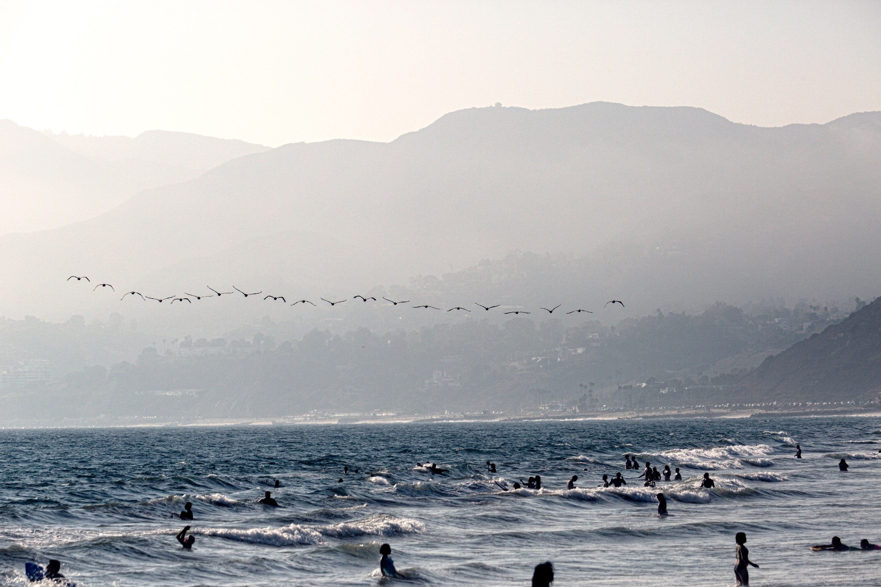summer wafe beach and bird 4k, HD Wallpaper